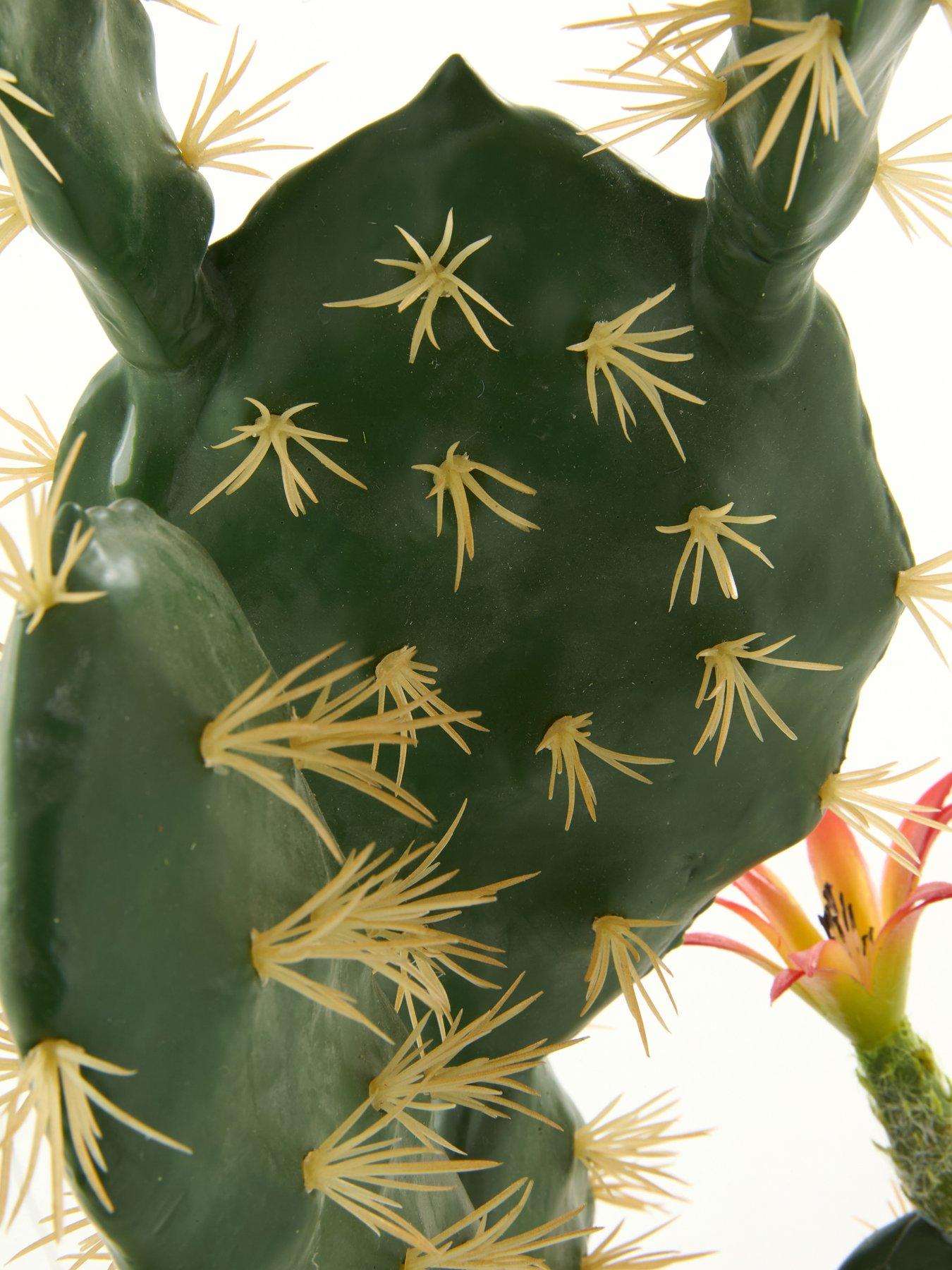 Image 4 of 5 of The Very Collection Prickly Pear Artificial Outdoor Cactus Plant