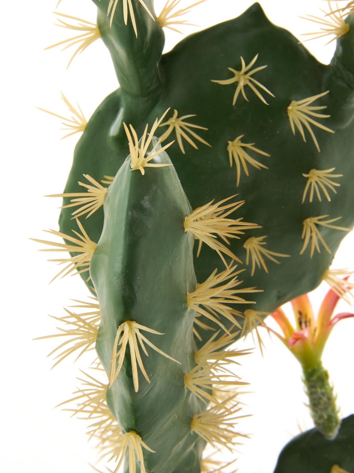 Image 5 of 5 of The Very Collection Prickly Pear Artificial Outdoor Cactus Plant