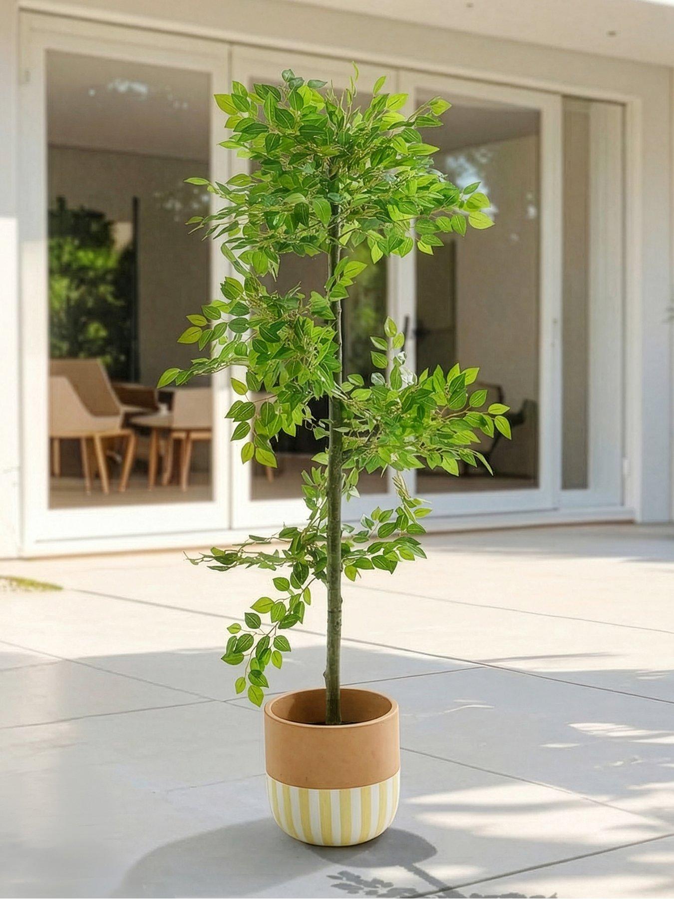 The Very Collection 152cm Faux Potted Ficus Tree Outdoor/Indoor
