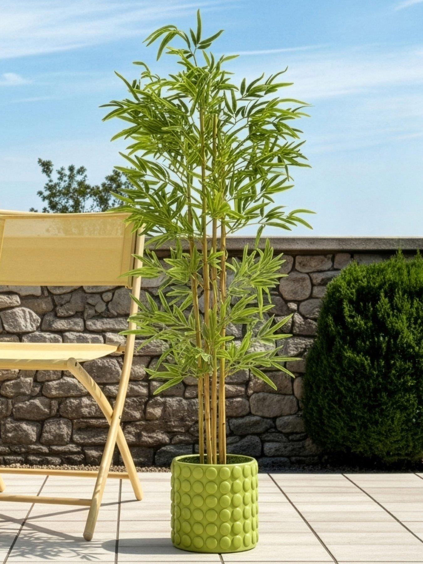 The Very Collection Bamboo Potted Plant Potted Tree Outdoor/Indoor152Cm