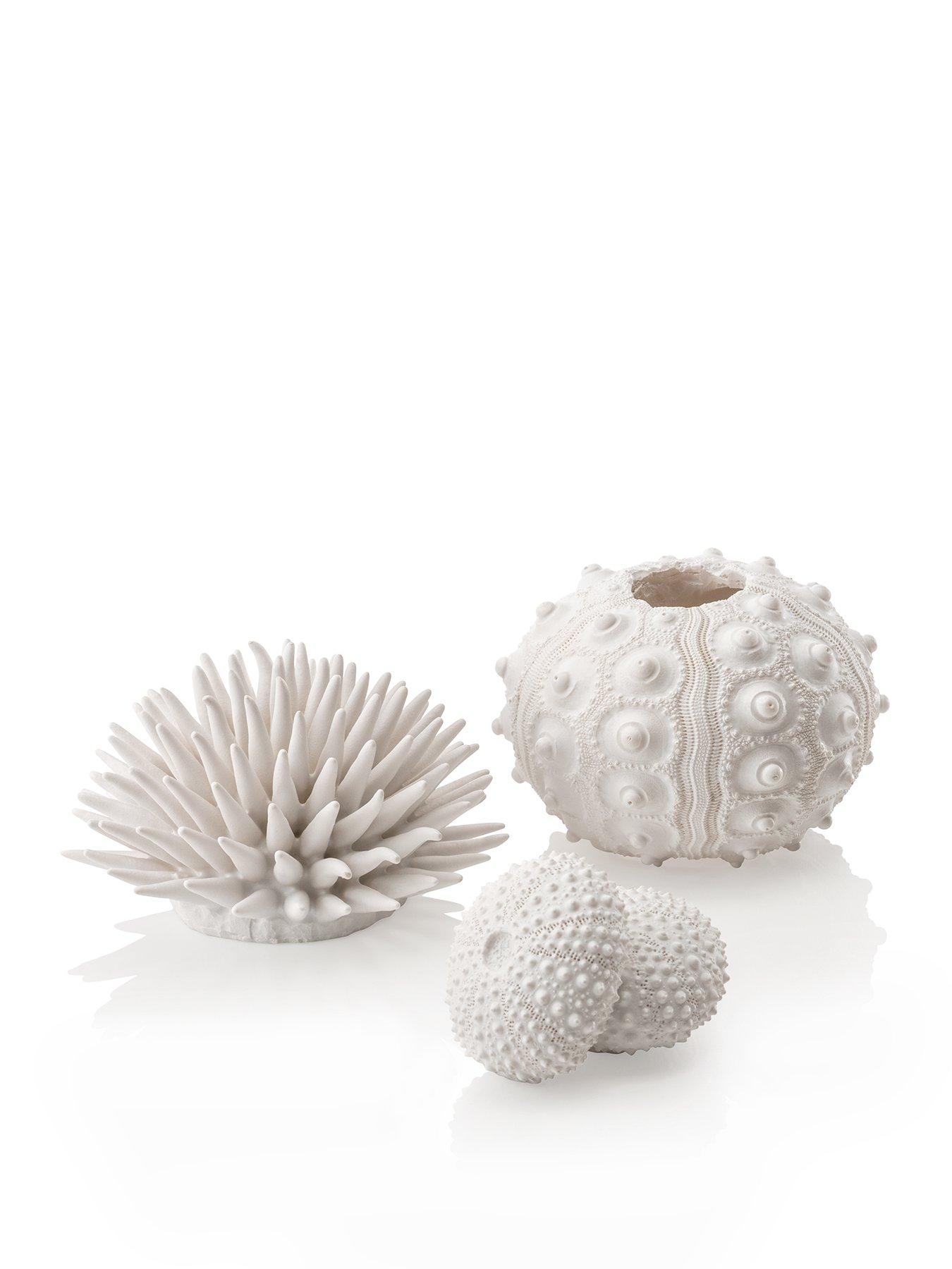 biorb-sea-urchins-set-white