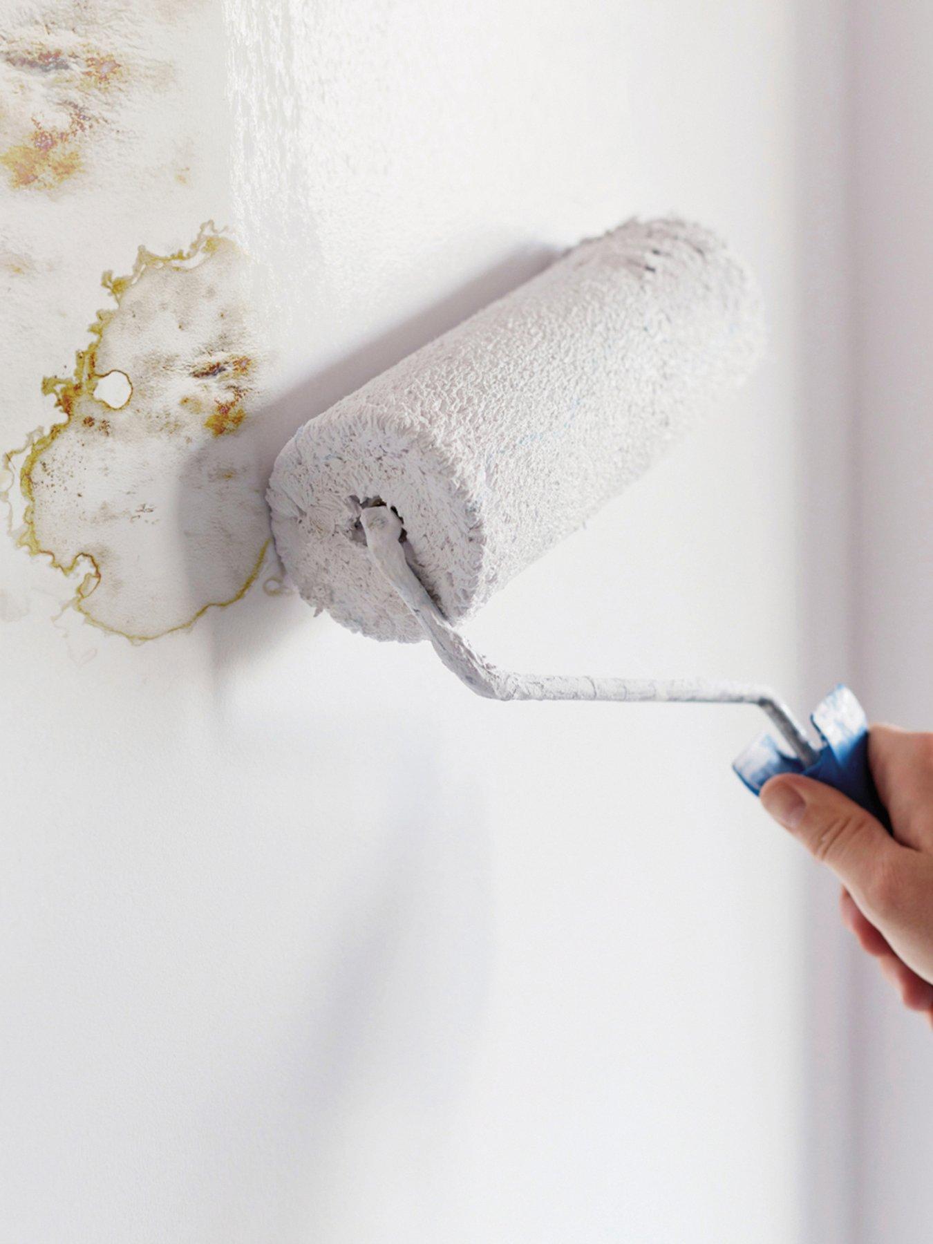 ronseal-6-year-anti-mould-paint-white-matt-750mldetail