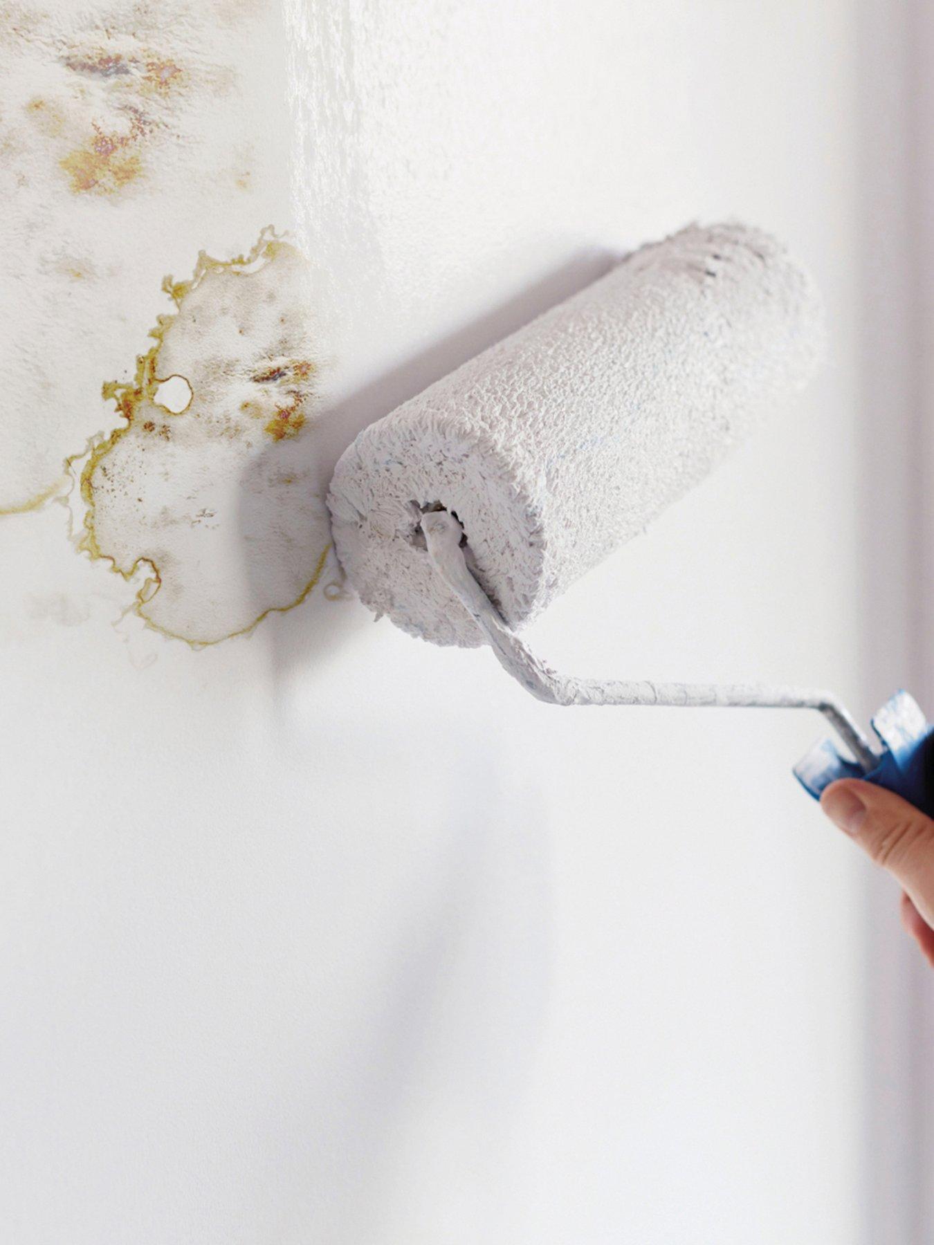 ronseal-6-year-anti-mould-paint-white-silk-750mldetail