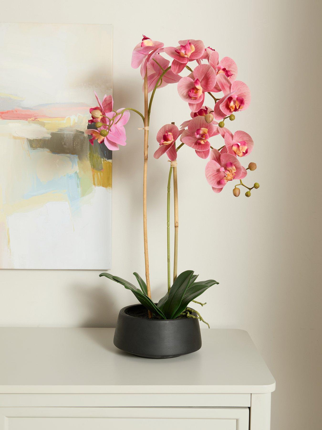 the-very-collection-65cm-real-touch-phalaenopsis-in-black-ceramic-potfront