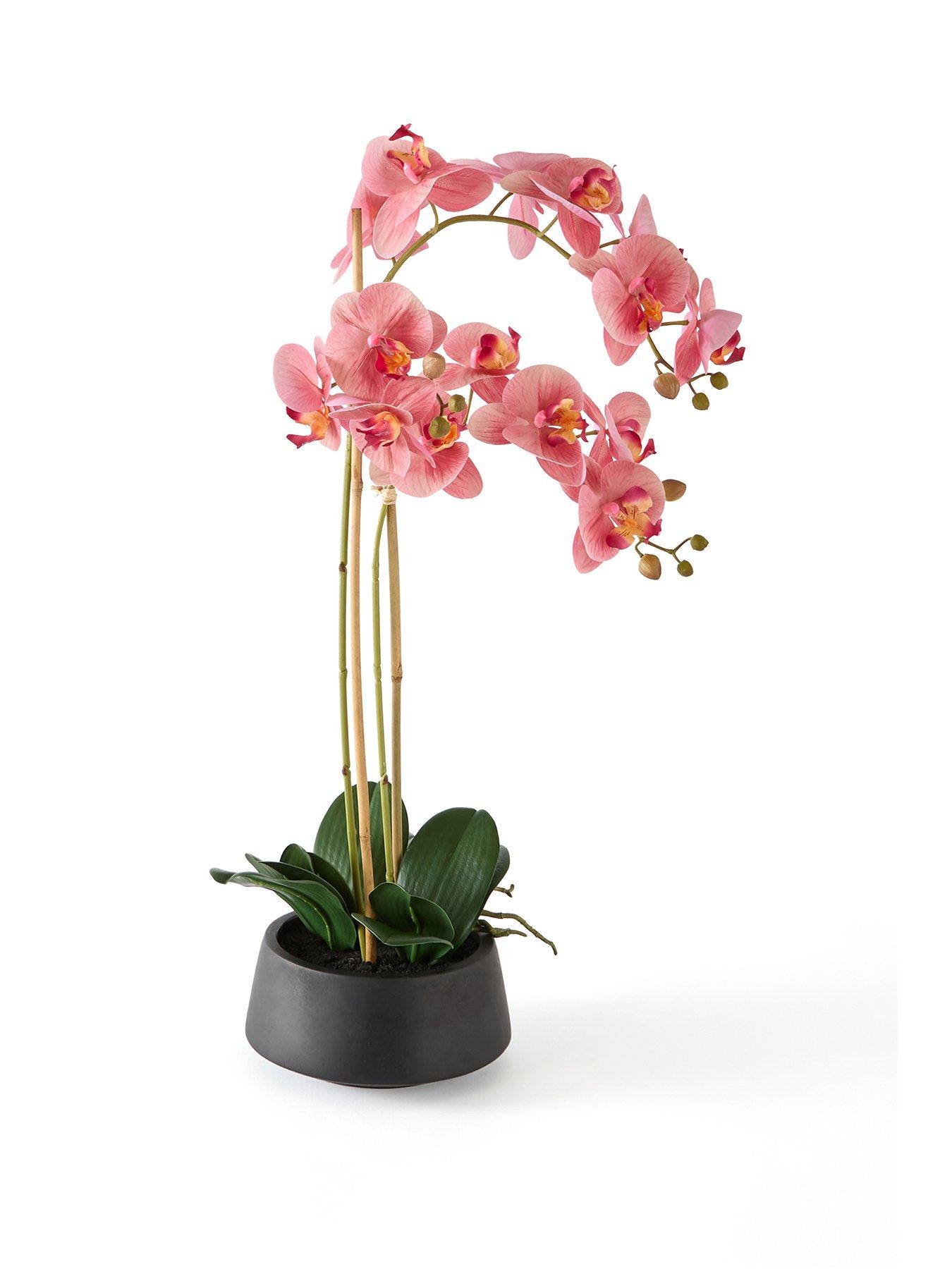 the-very-collection-65cm-real-touch-phalaenopsis-in-black-ceramic-potstillFront