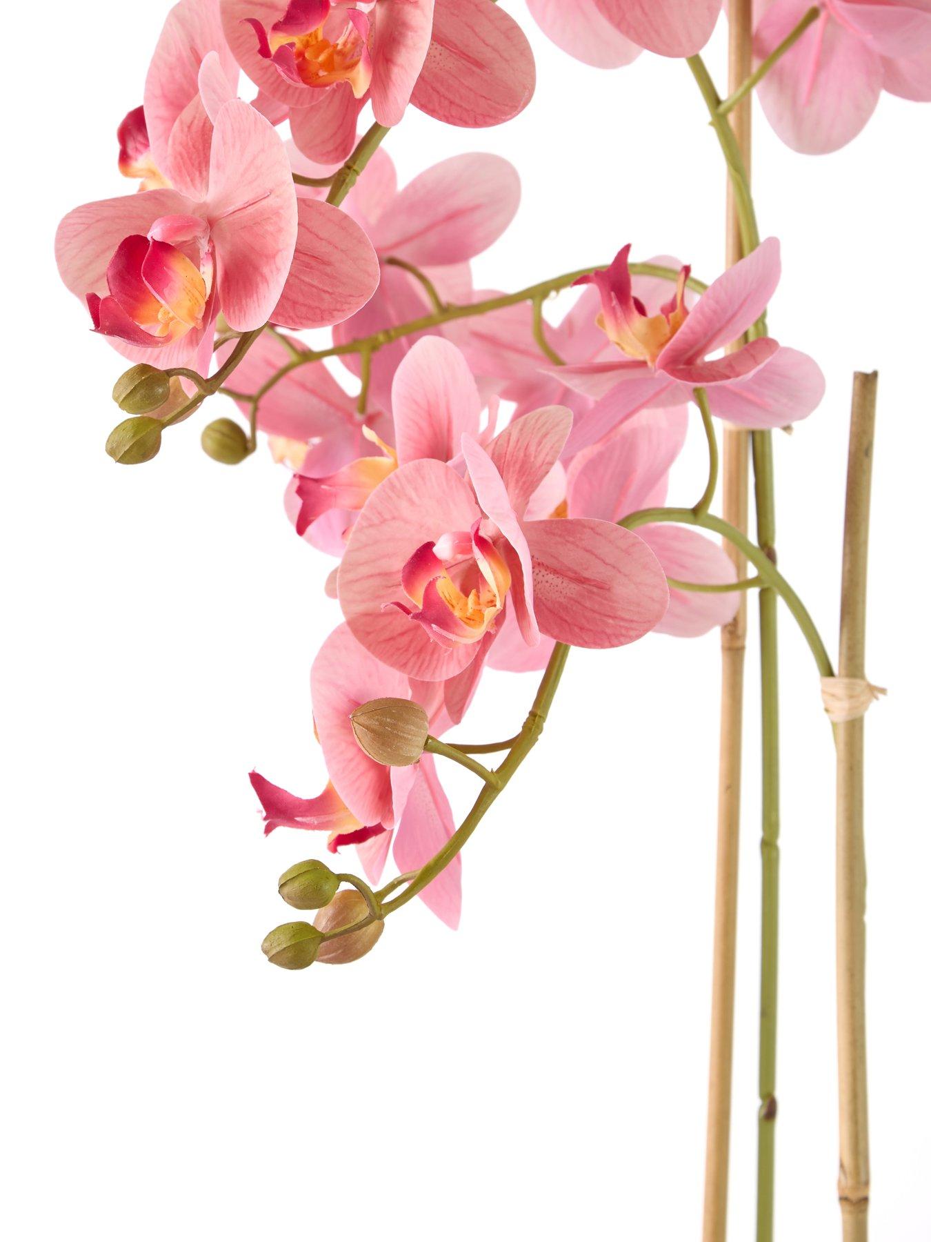 the-very-collection-65cm-real-touch-phalaenopsis-in-black-ceramic-potback