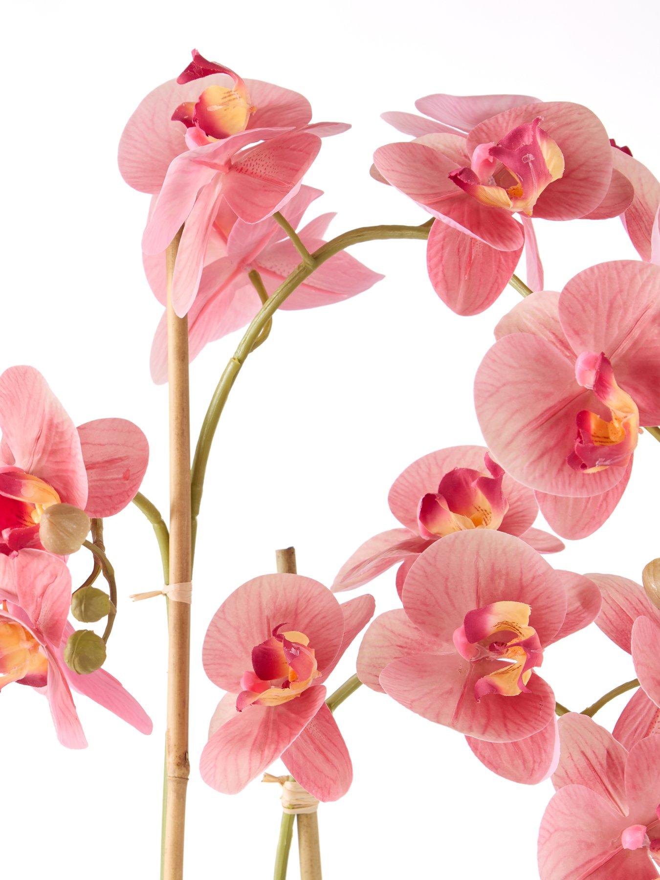 the-very-collection-65cm-real-touch-phalaenopsis-in-black-ceramic-potoutfit