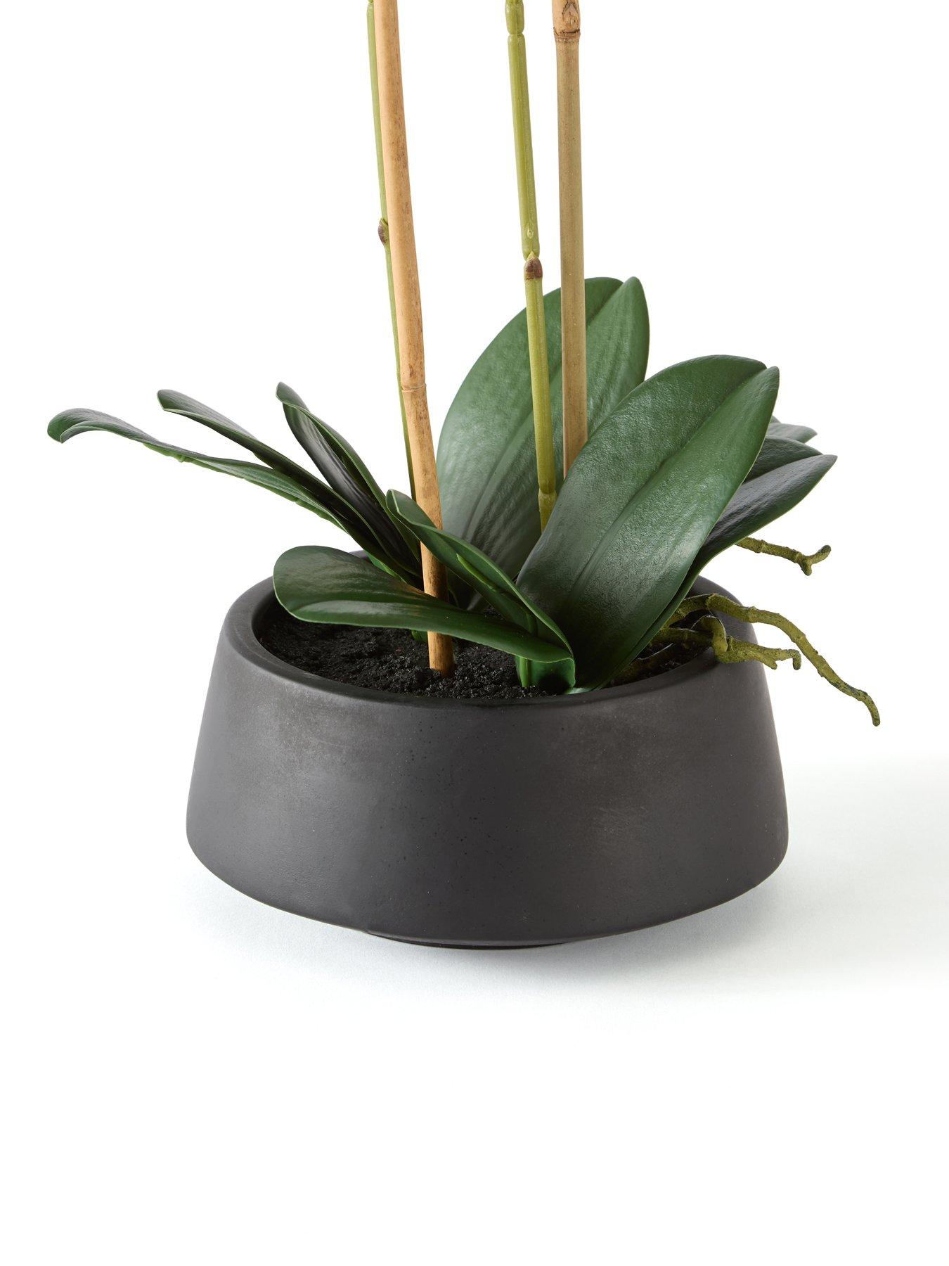 the-very-collection-65cm-real-touch-phalaenopsis-in-black-ceramic-potdetail