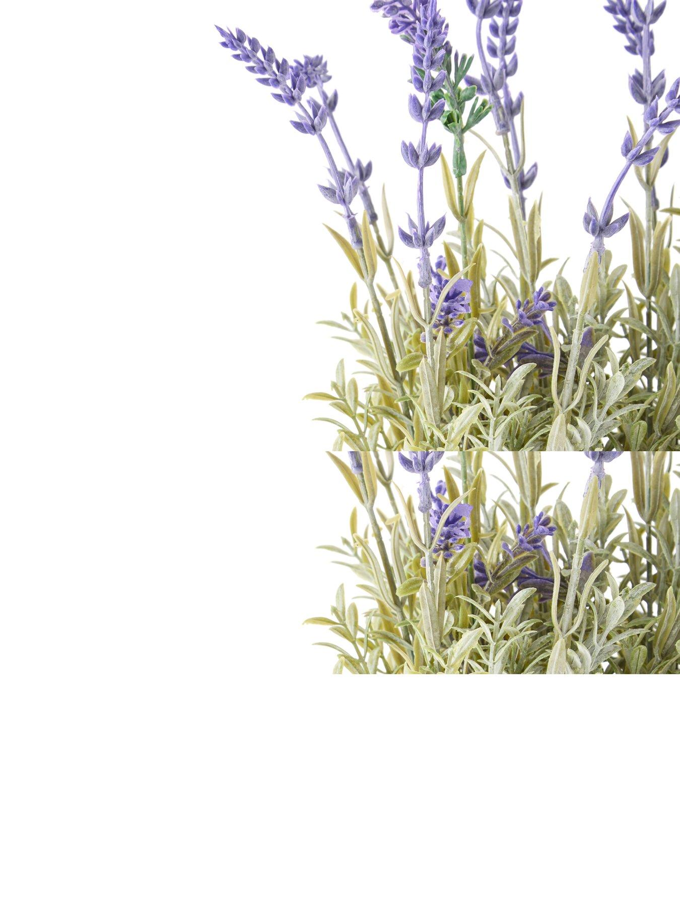 Image 6 of 6 of The Very Collection 28cm Lavender in Cement Pot
