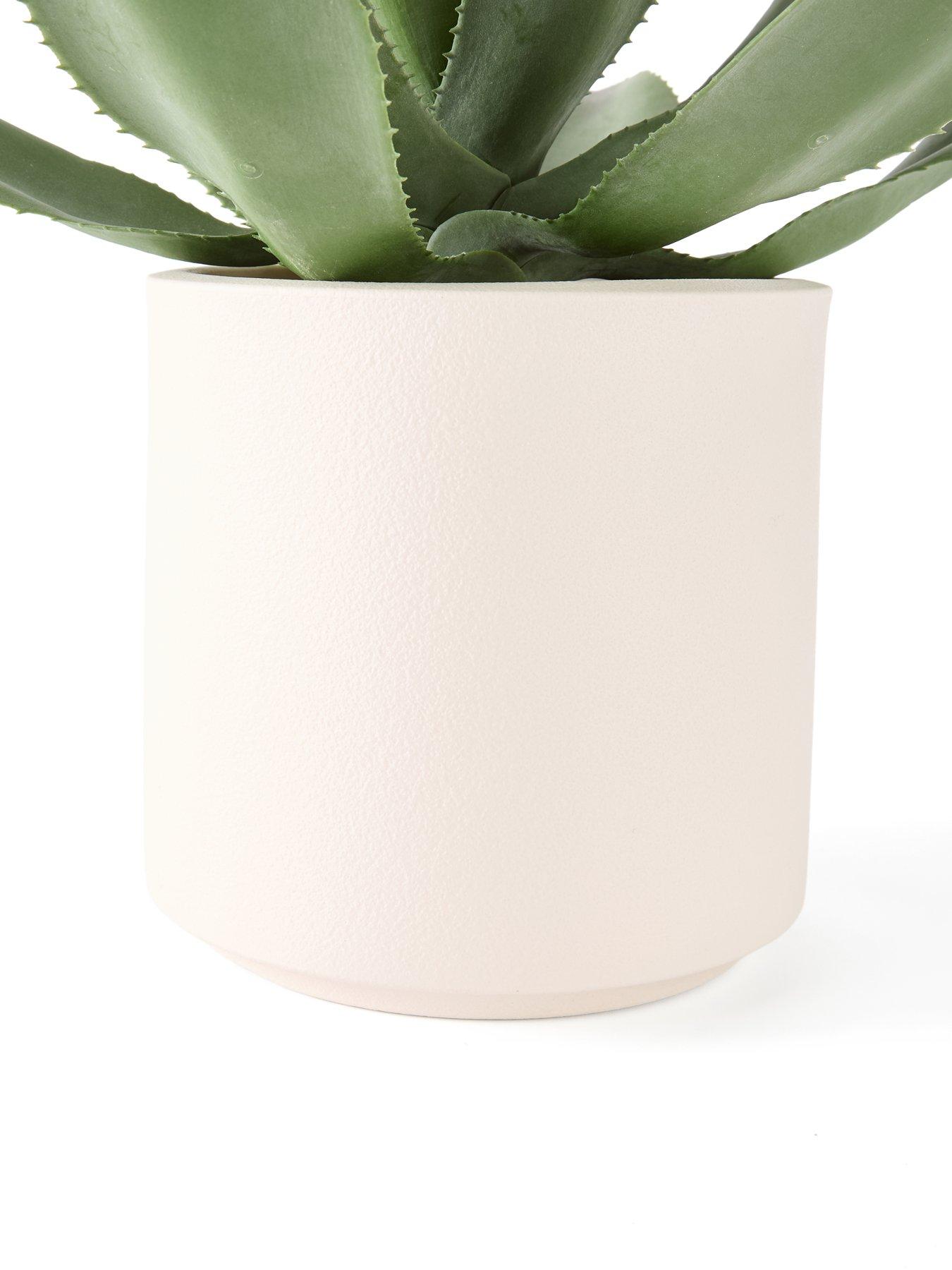 Image 3 of 6 of The Very Collection 57cm Agave in Plastic Pot