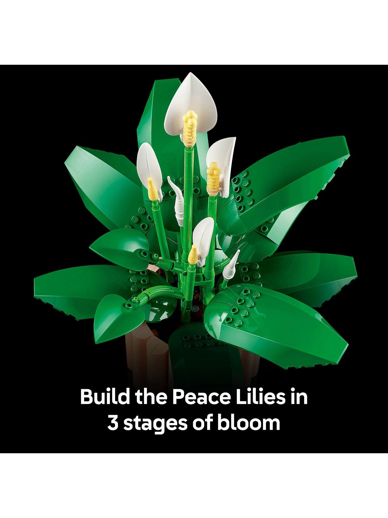 Image 4 of 8 of LEGO Botanical Peace Lily Flower Decor Set (11504)