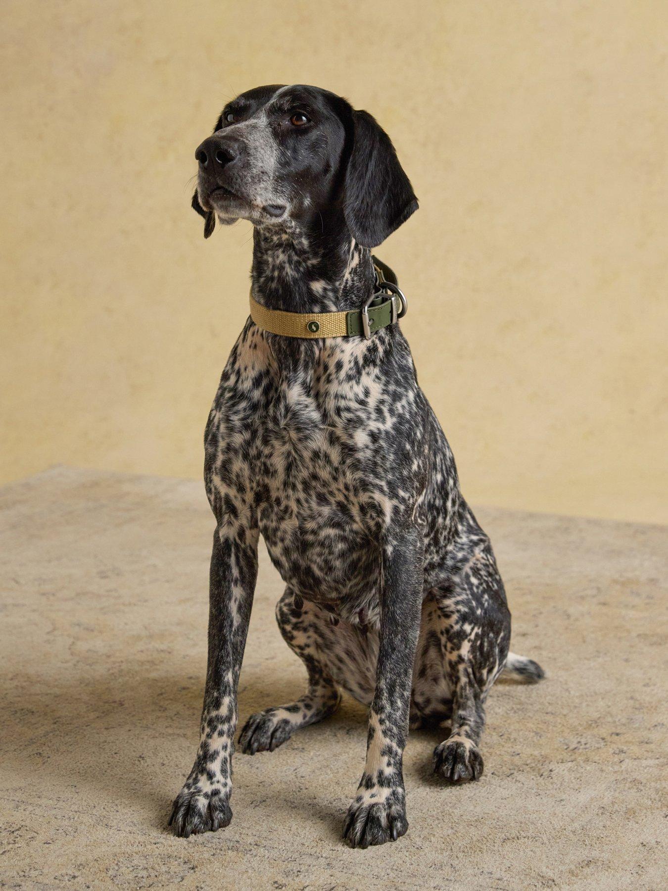 Joules Khaki Collar