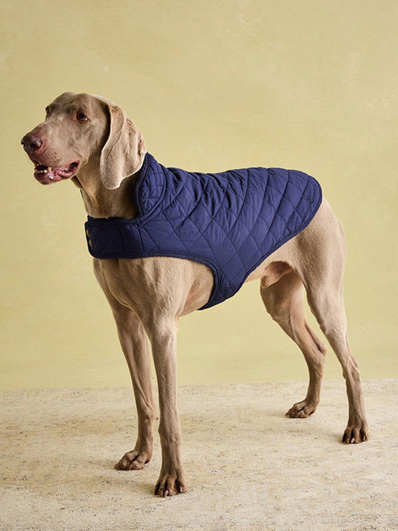 joules-navy-quilted-coat
