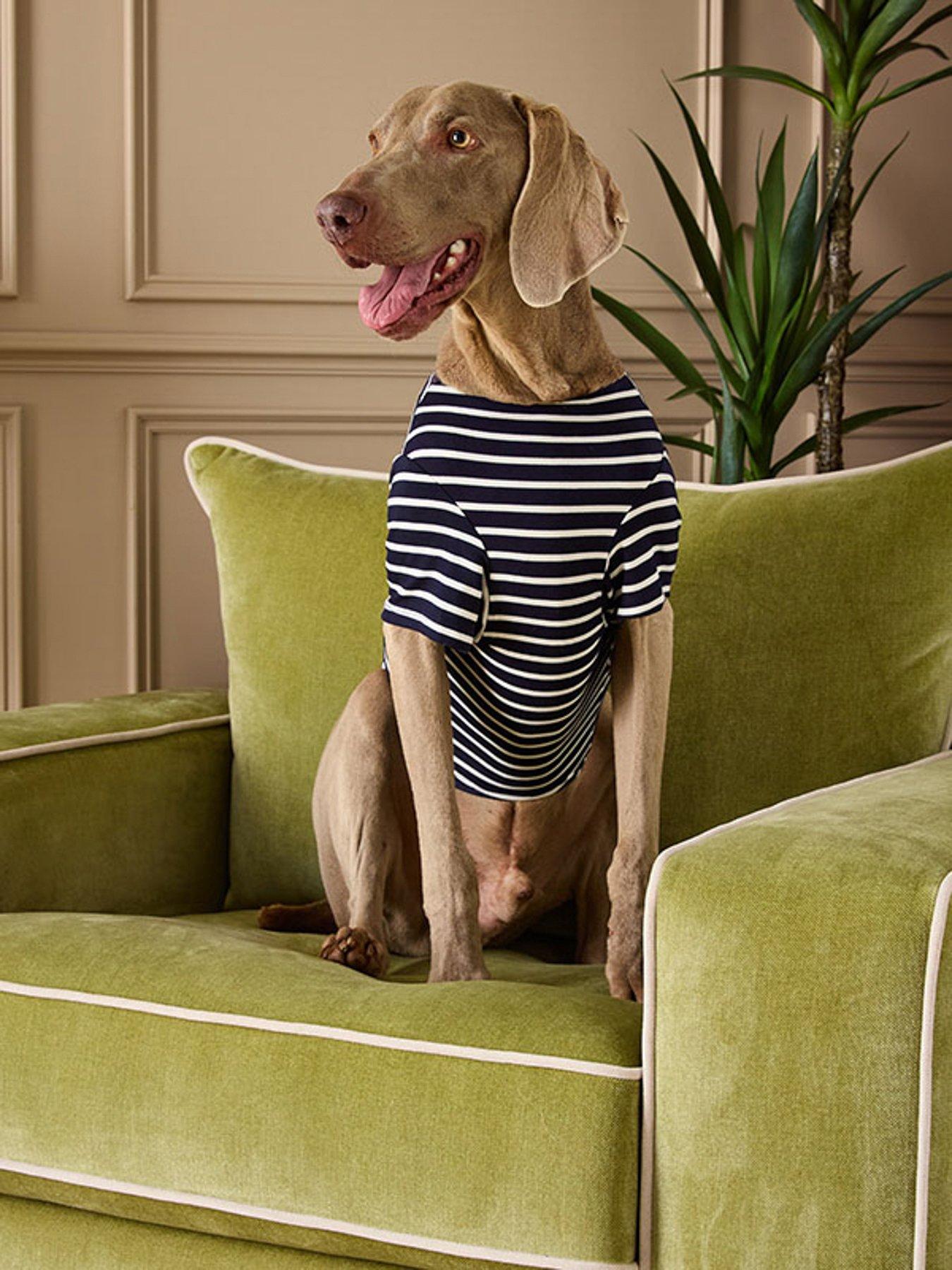 joules-harbour-top