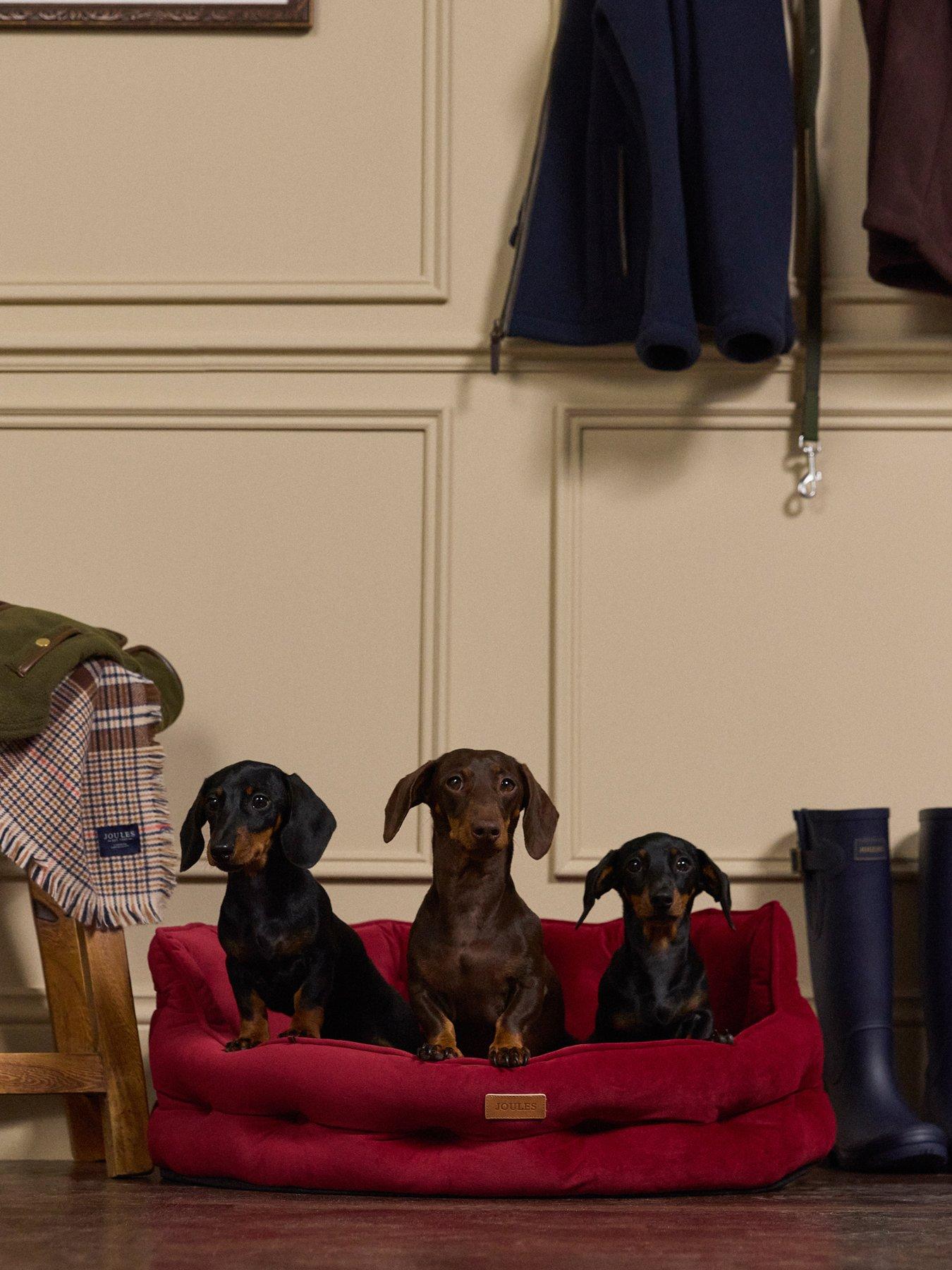 joules-chesterfield-pet-bed--nbspburgundy