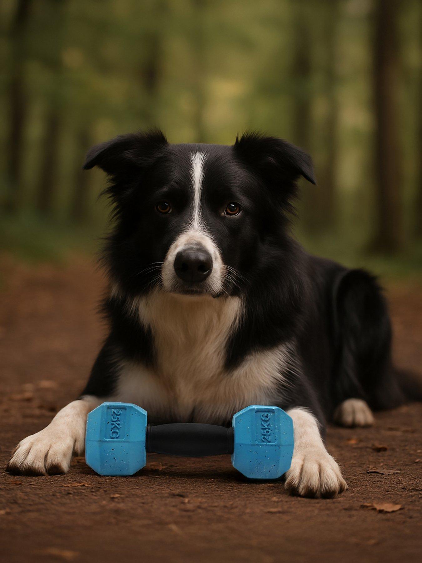 Nike Max Fusion Max Fusion Dumbbell Dog Toy For Large Dogs in Blue