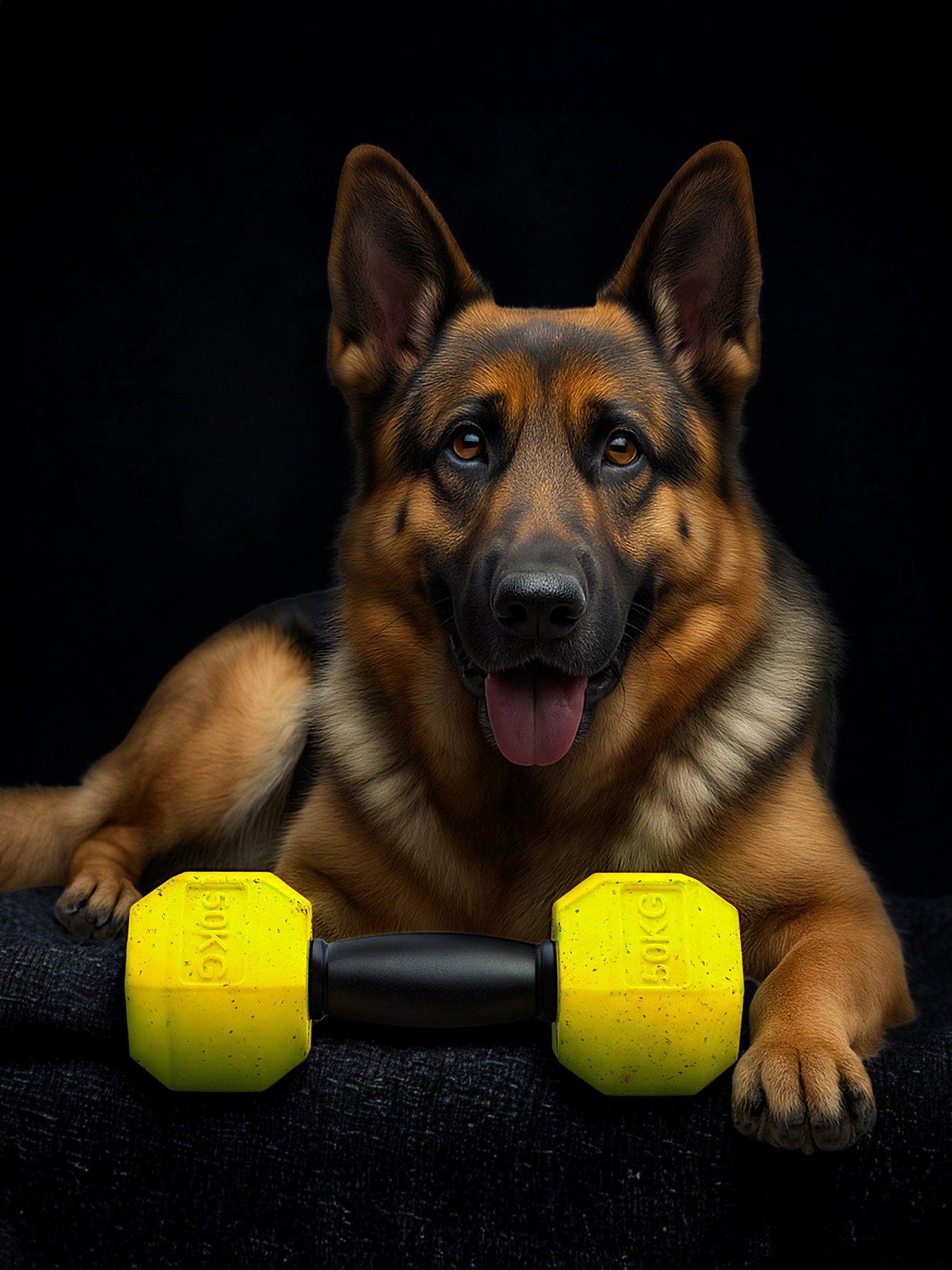 Nike Max Fusion Max Fusion Dumbbell Dog Toy For Extra Large Dogs in Yellow