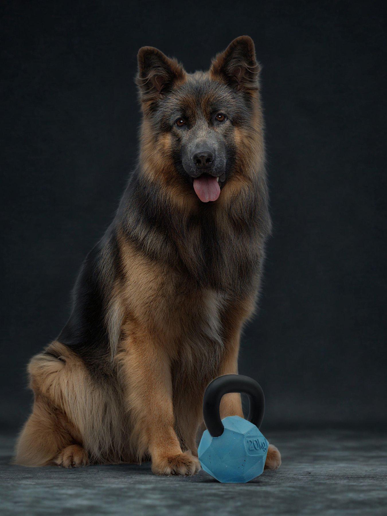 nike-max-fusion-max-fusion-kettle-bell-dog-toy-for-large-dogsfront