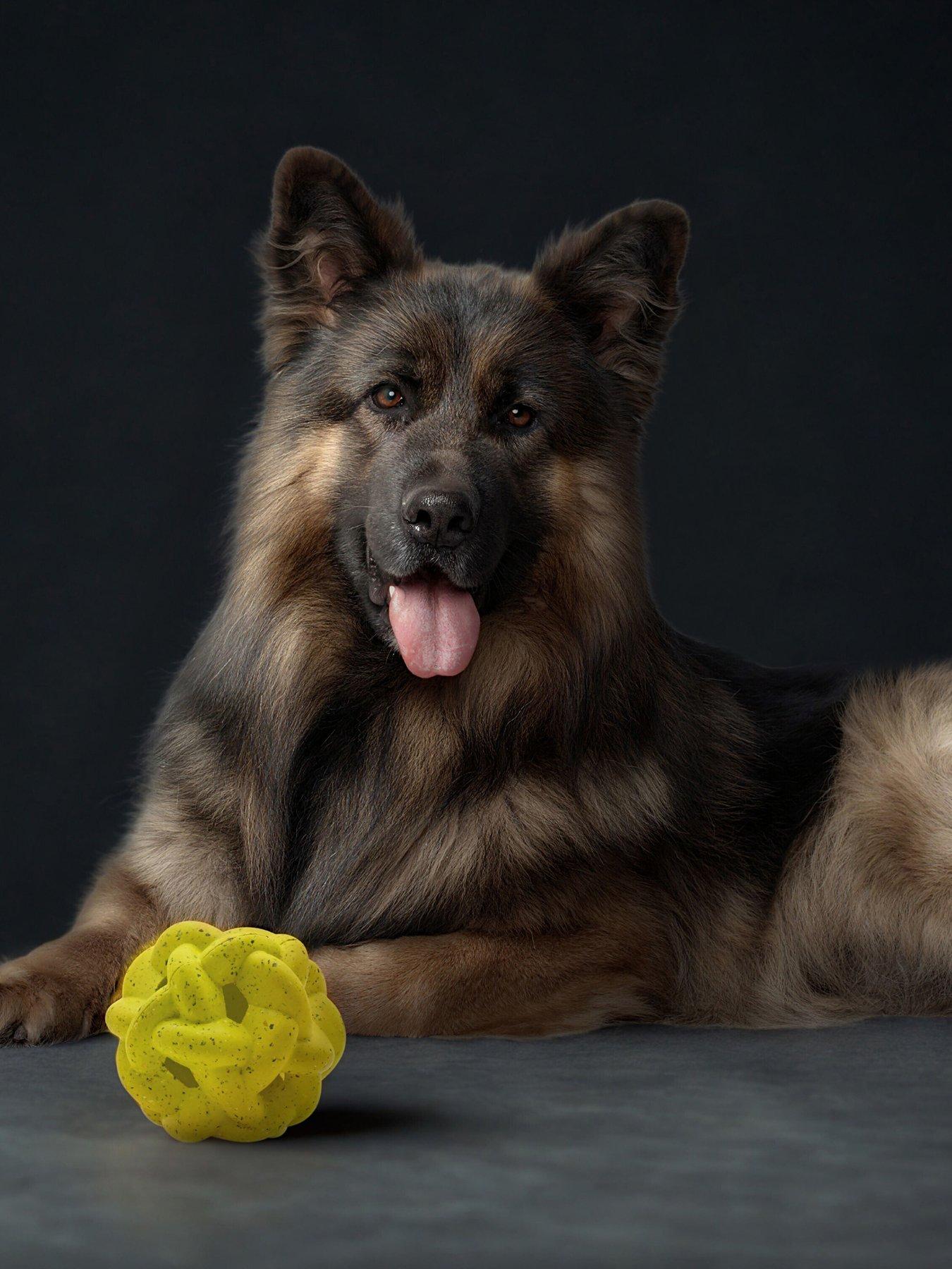 Nike Max Fusion Max Fusion Gyro Dog Toy For Large Dogs in Yellow