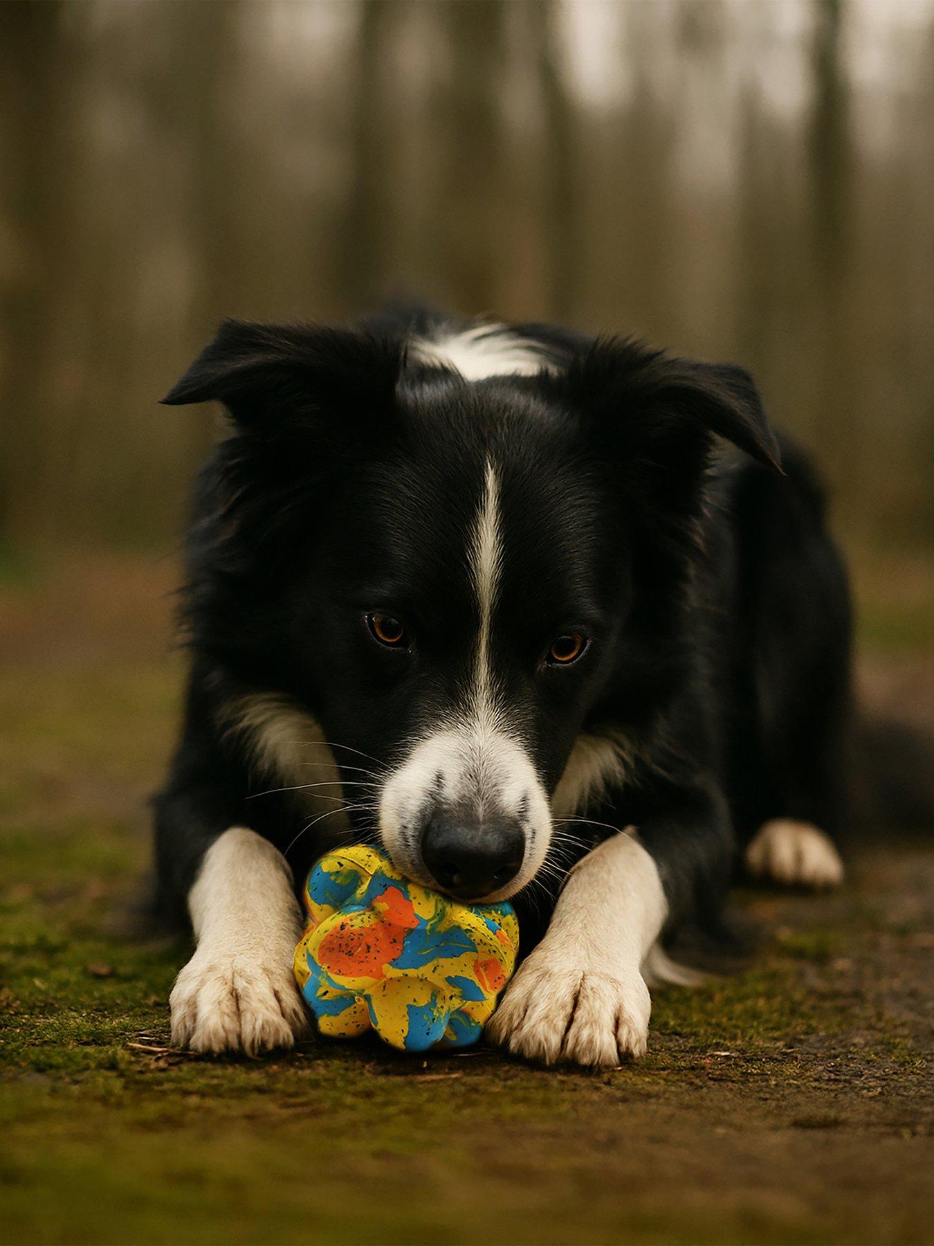 Nike Max Fusion Max Fusion Pop It Dog Toy For Medium Dogs in Multi
