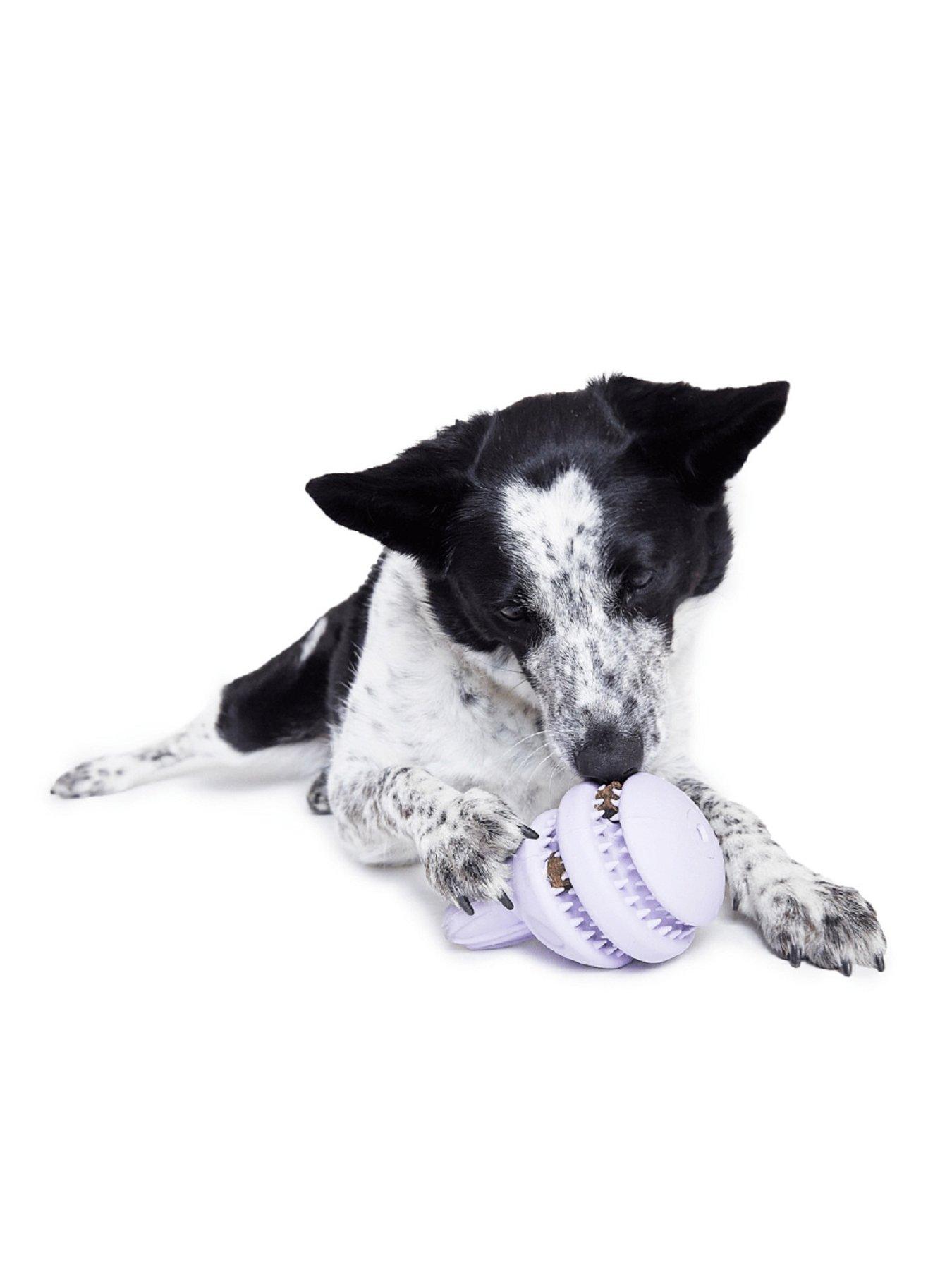 bark-hippie-hopper-dog-toyoutfit