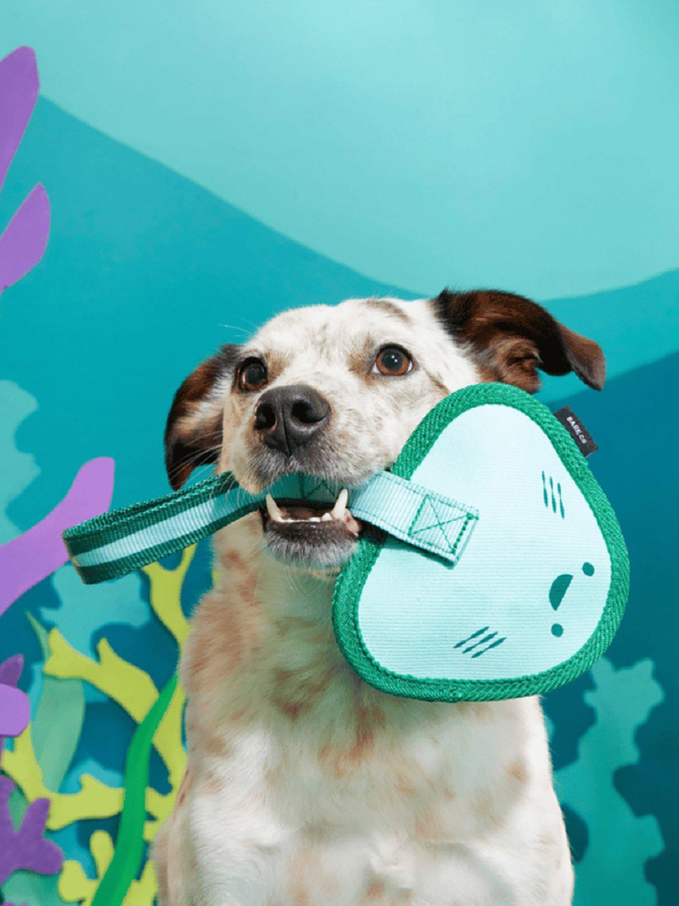 Bark Flingray Dog Toy in Multi