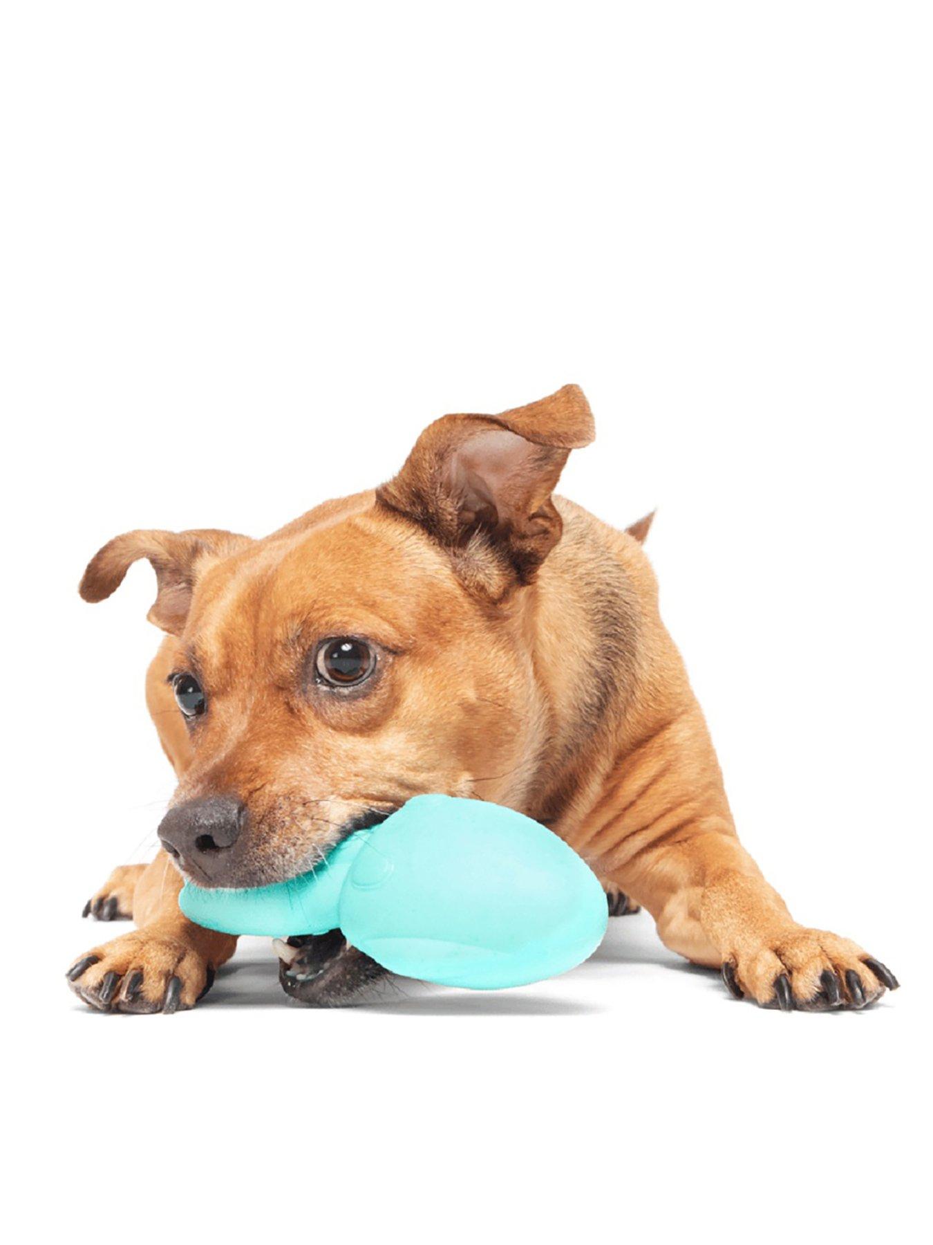 bark-whiz-squid-dog-toy