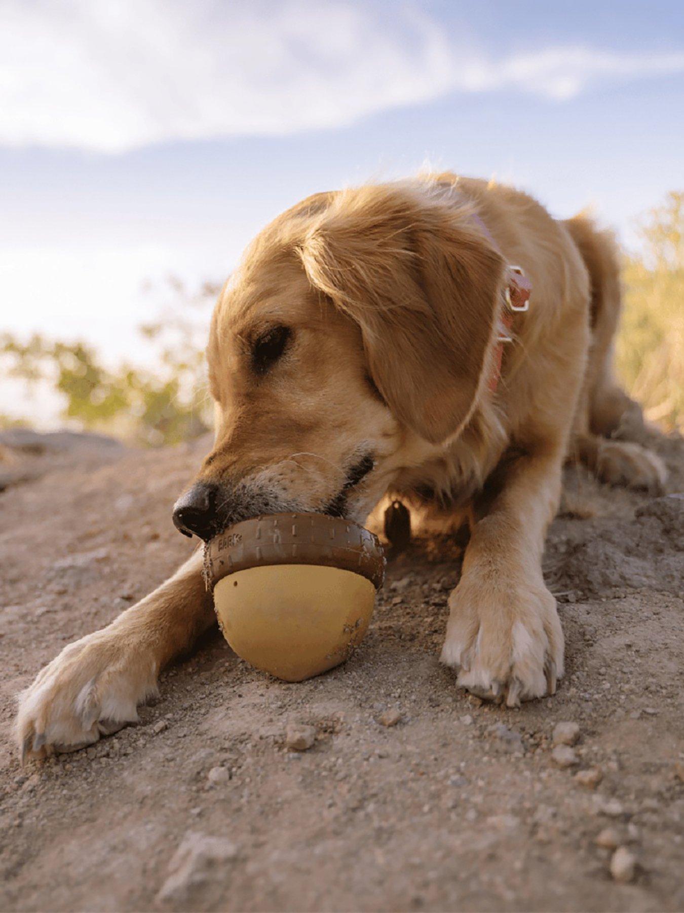 bark-acornucopia-dog-toy