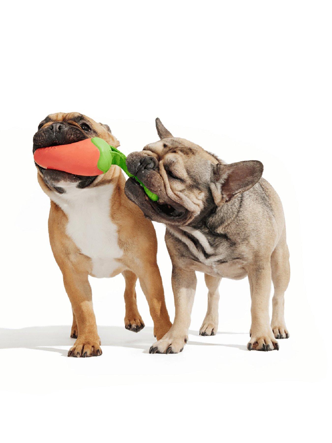 Bark Habanero Pupper Dog Toy in Multi