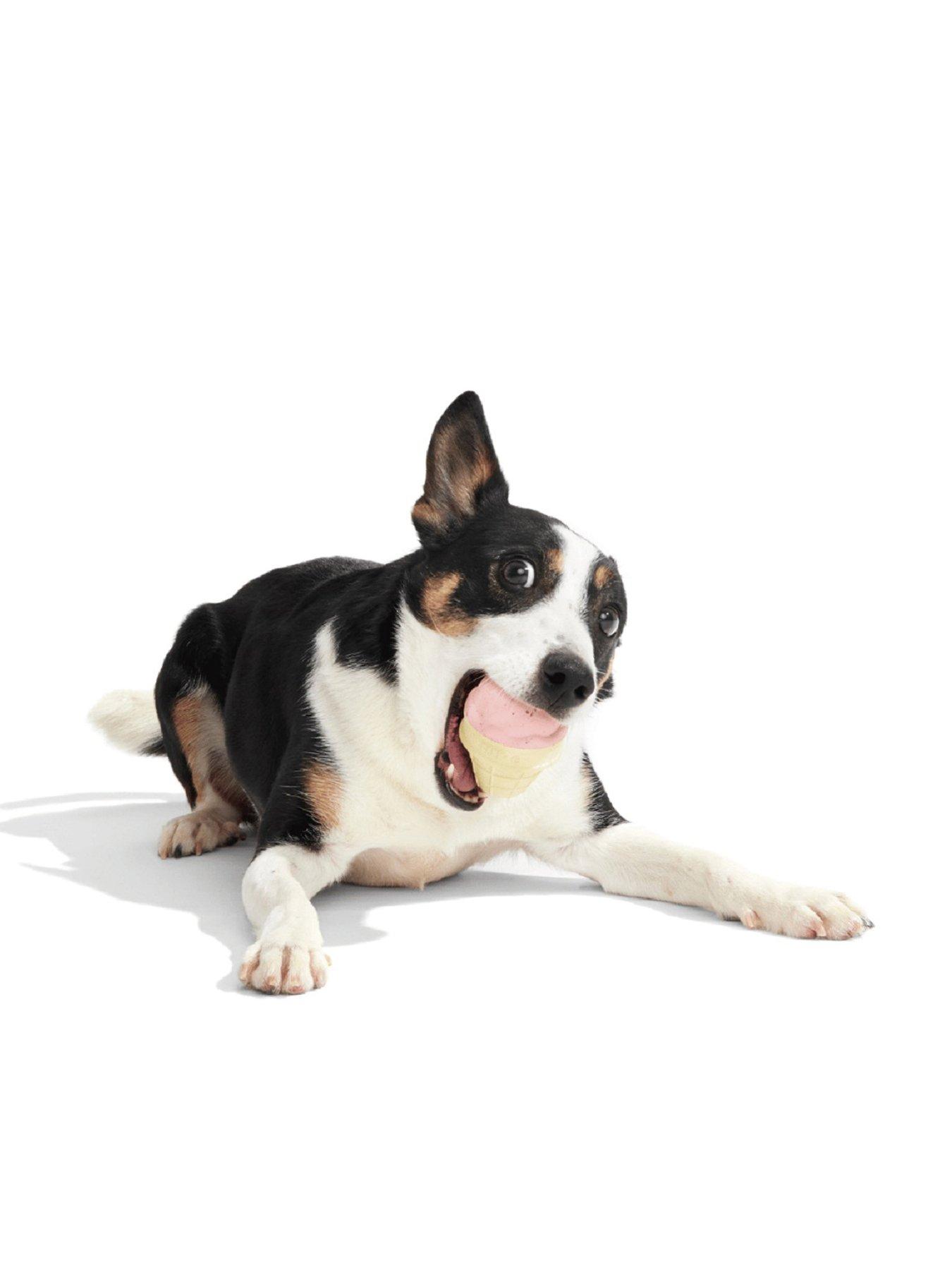 Bark Squeak Cone Dog Toy in Multi