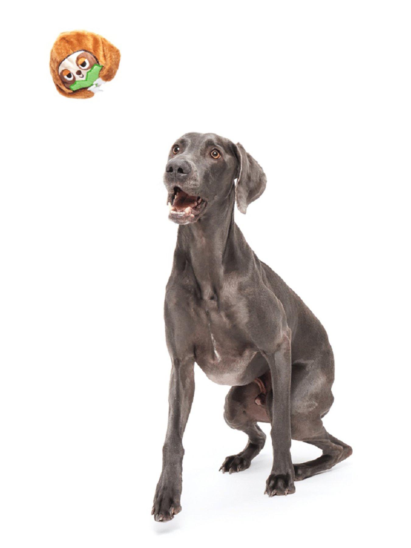 bark-sonny-the-sloth-dog-toyback