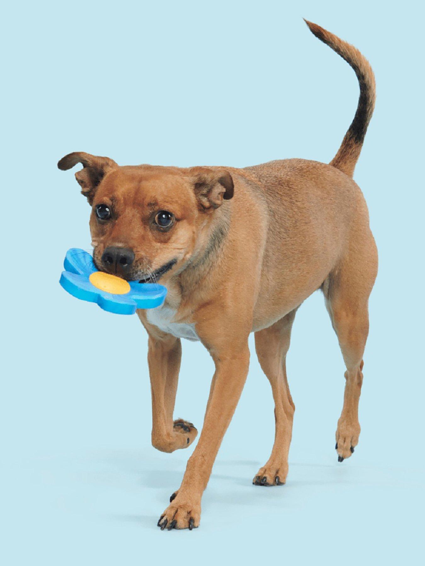 bark-blue-power-flower-dog-toy