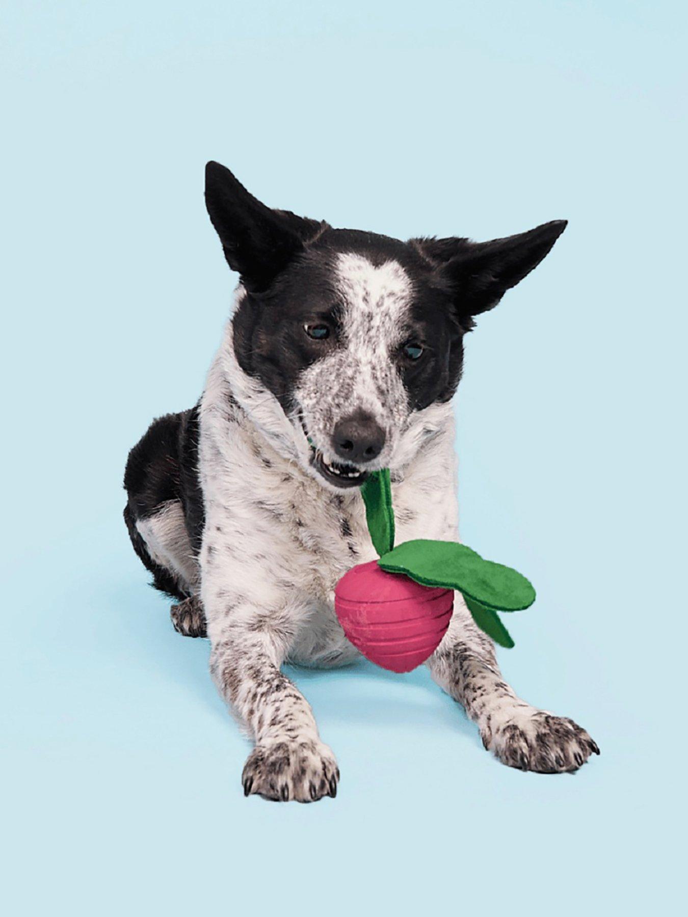 bark-turnt-up-turnip-dog-toy