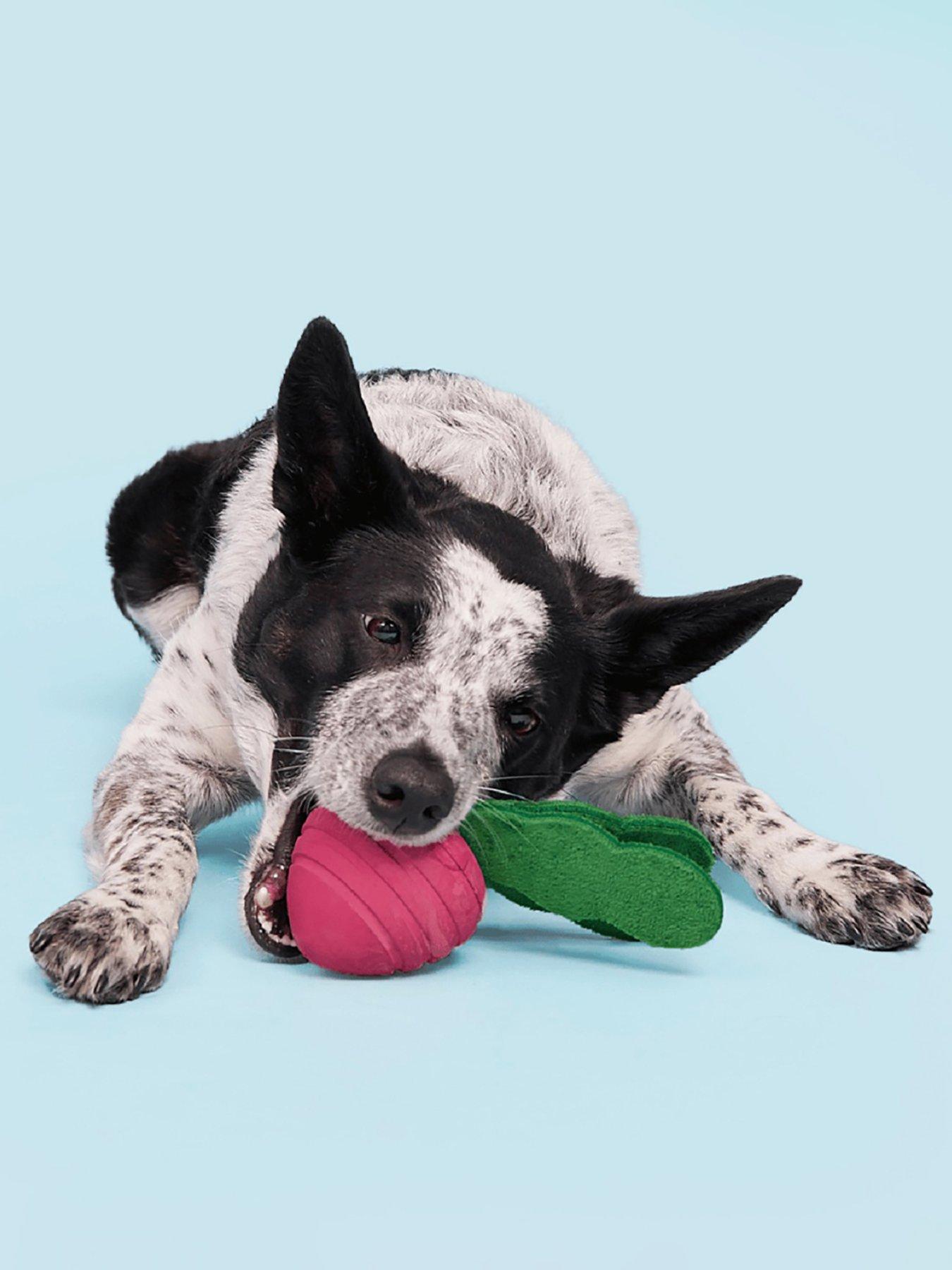 bark-turnt-up-turnip-dog-toyback