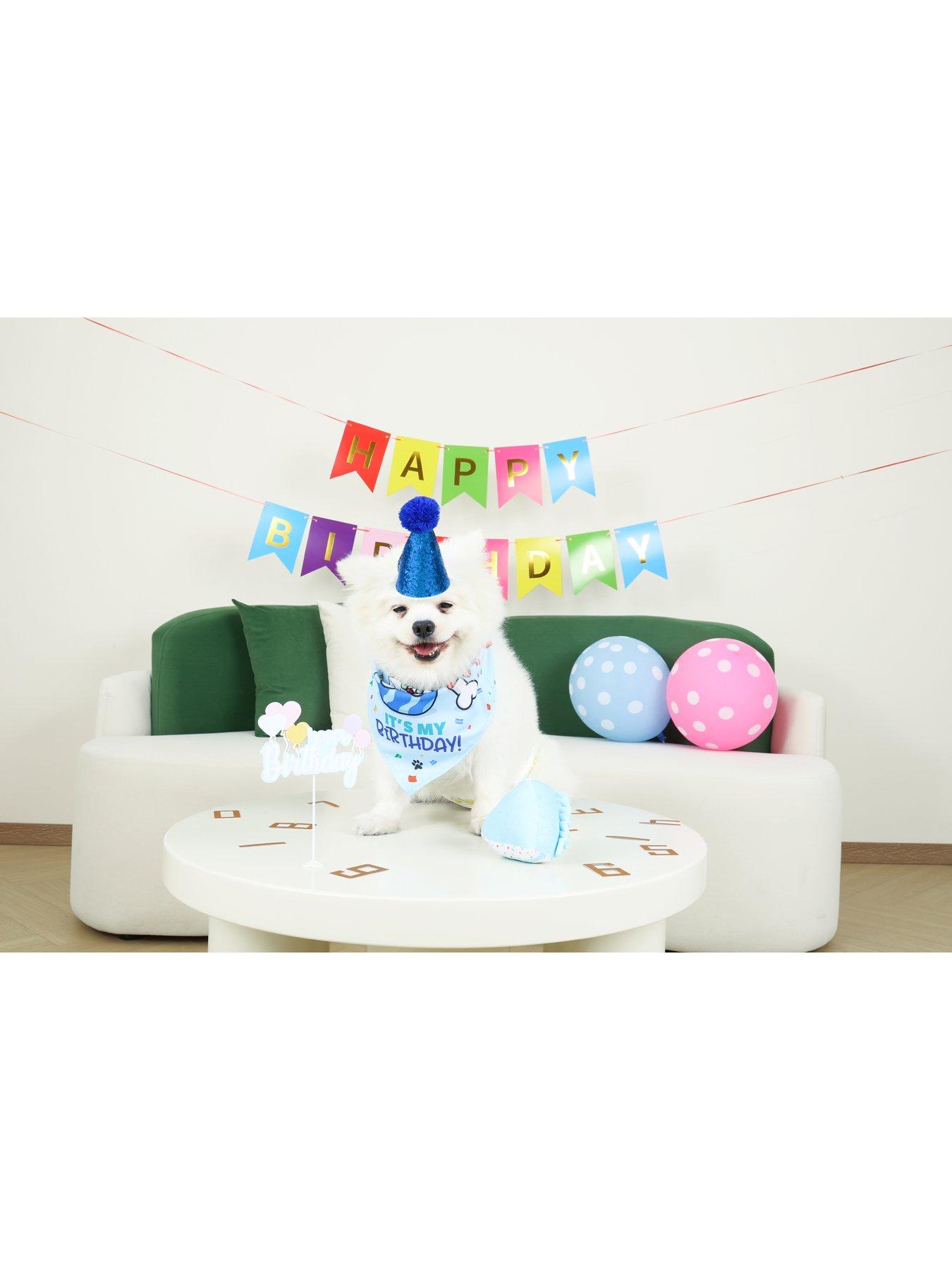 m-pets-party-time-dog-gentlemans-set