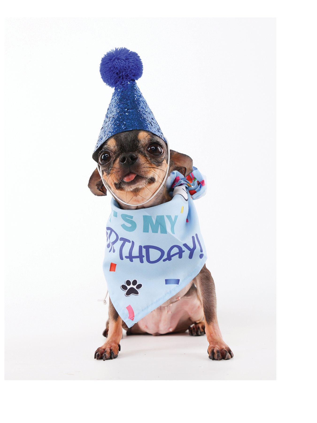 m-pets-party-time-dog-gentlemans-setstillFront