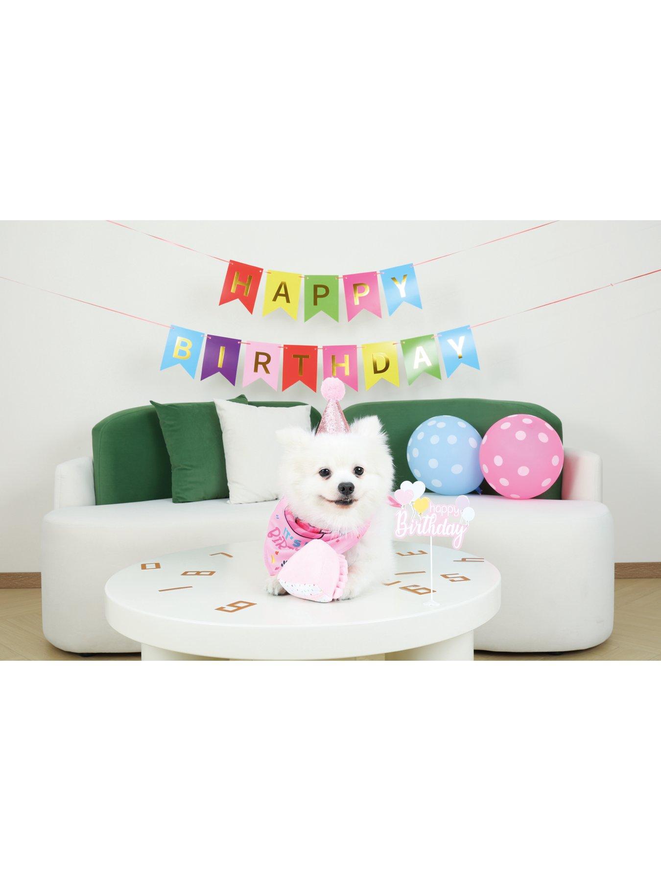 m-pets-party-time-dog-ladys-set