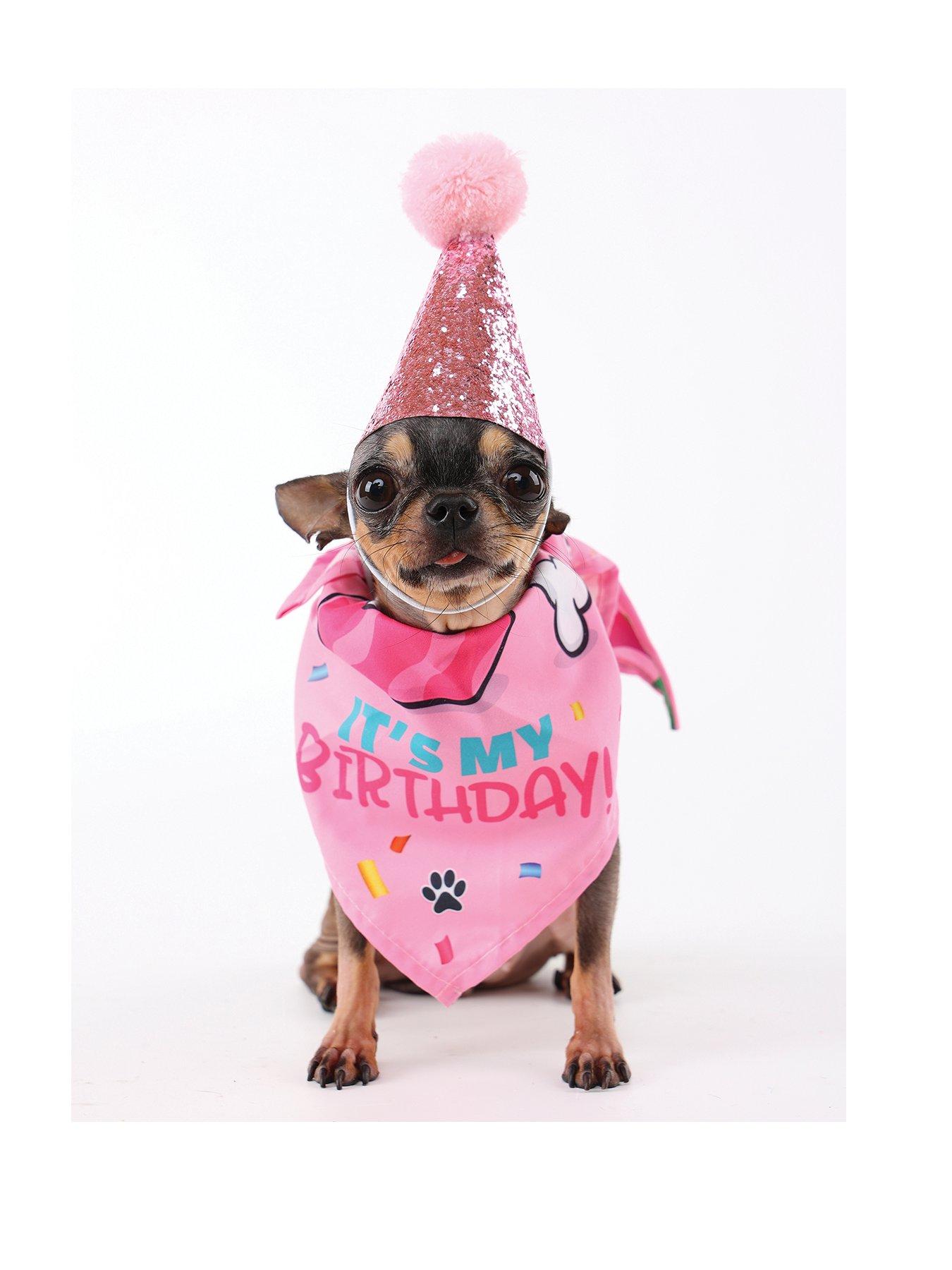 m-pets-party-time-dog-ladys-setstillFront
