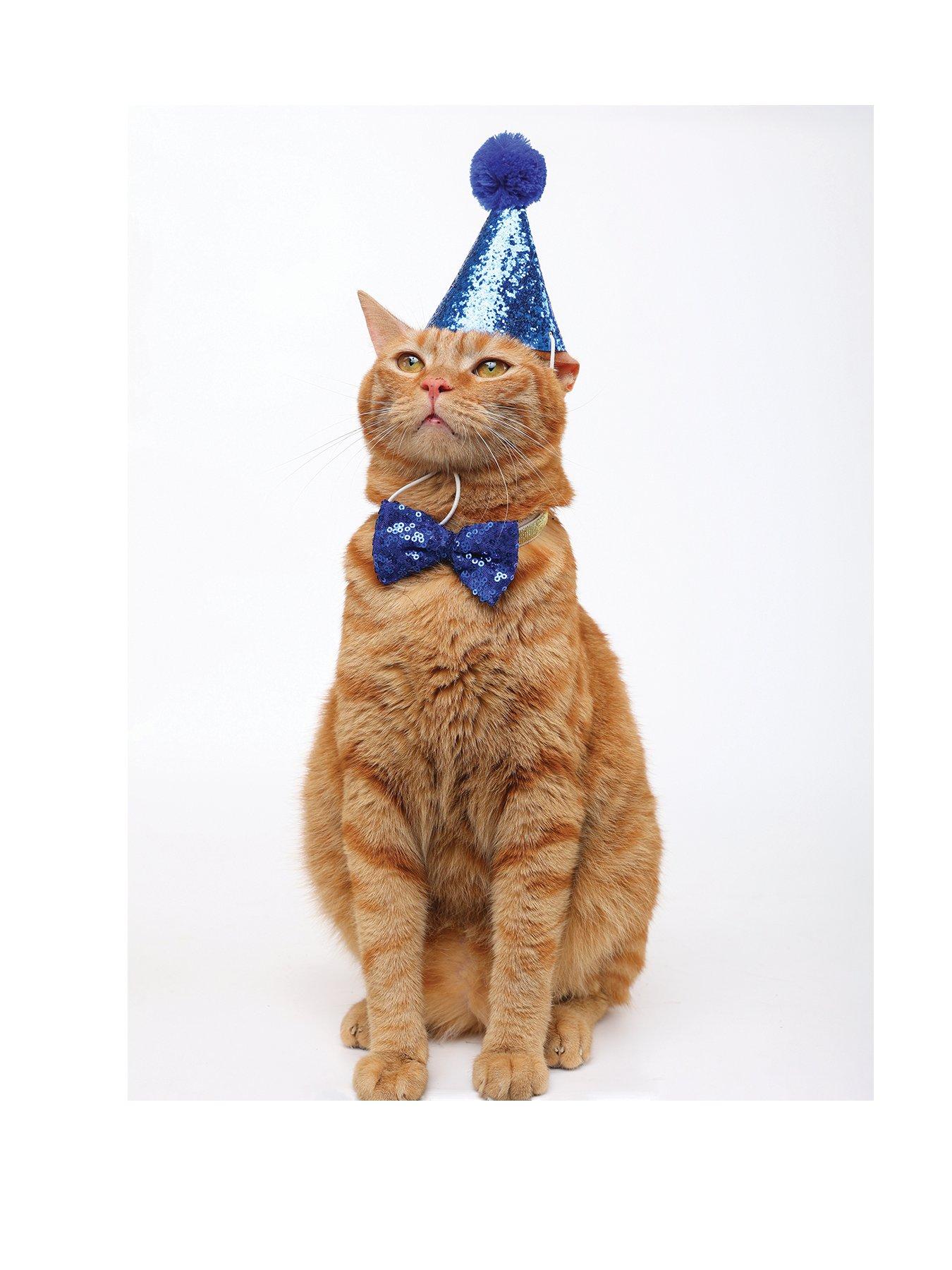 m-pets-party-time-cat-gentlemans-setstillFront