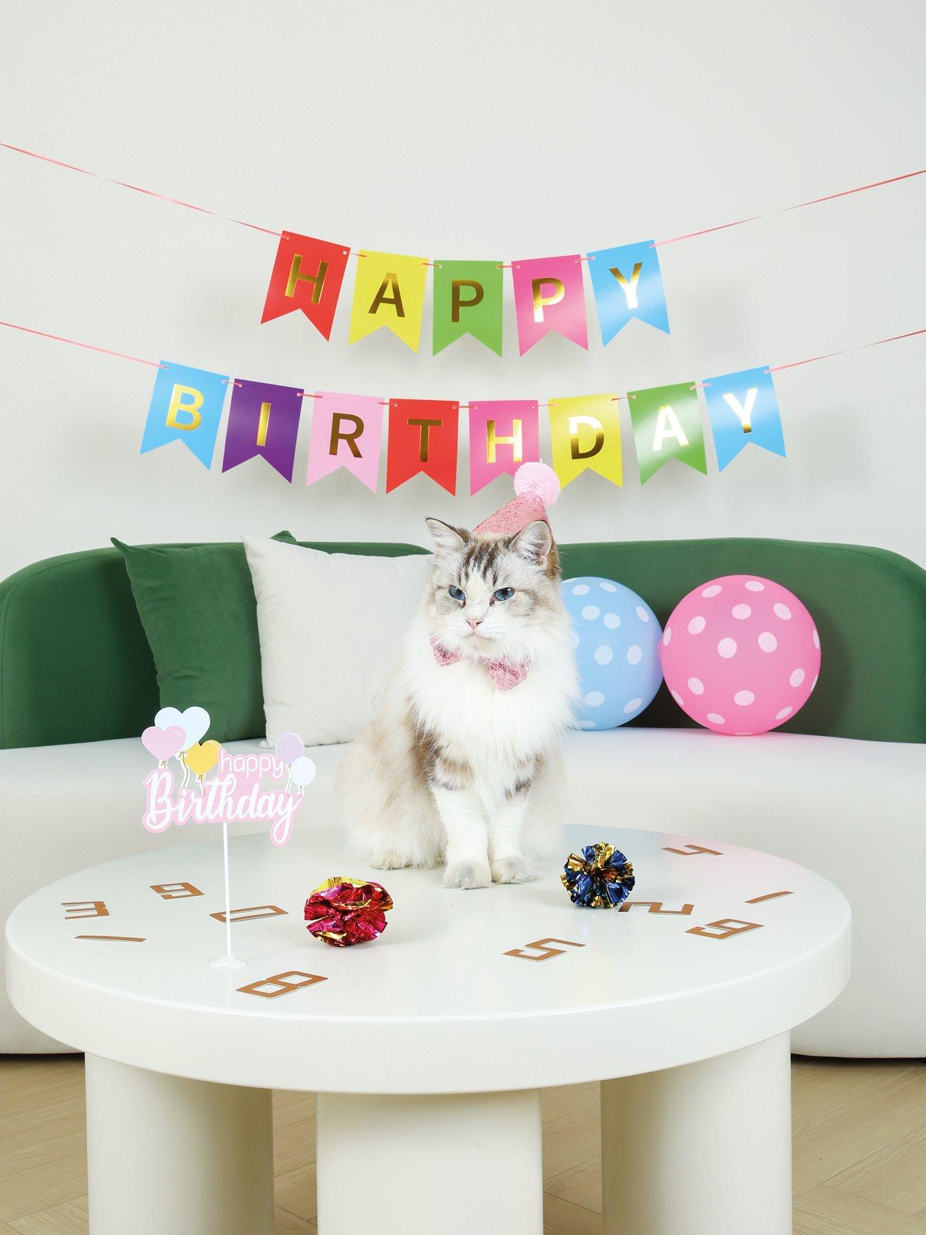 m-pets-party-time-cat-ladys-set