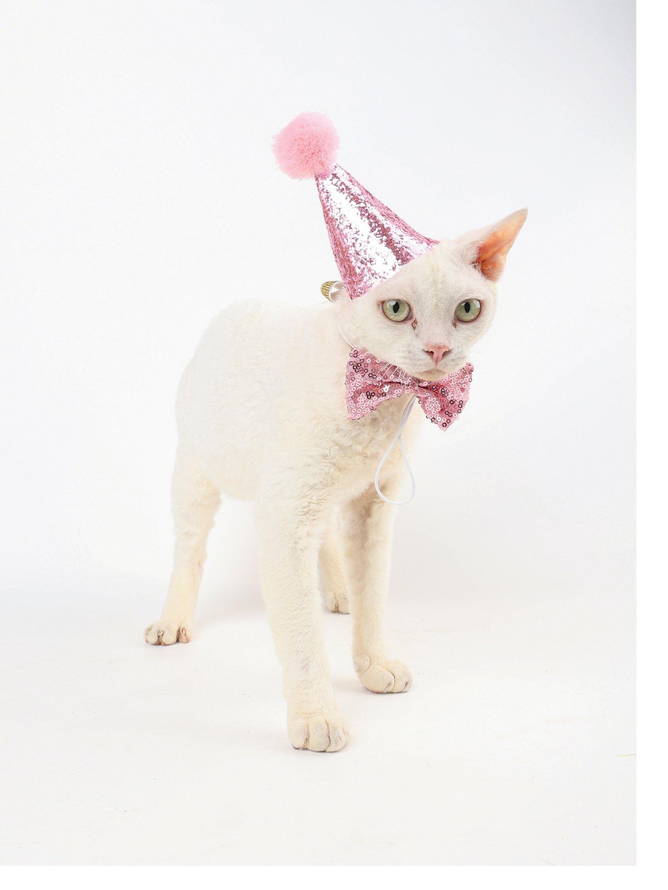 m-pets-party-time-cat-ladys-setstillFront