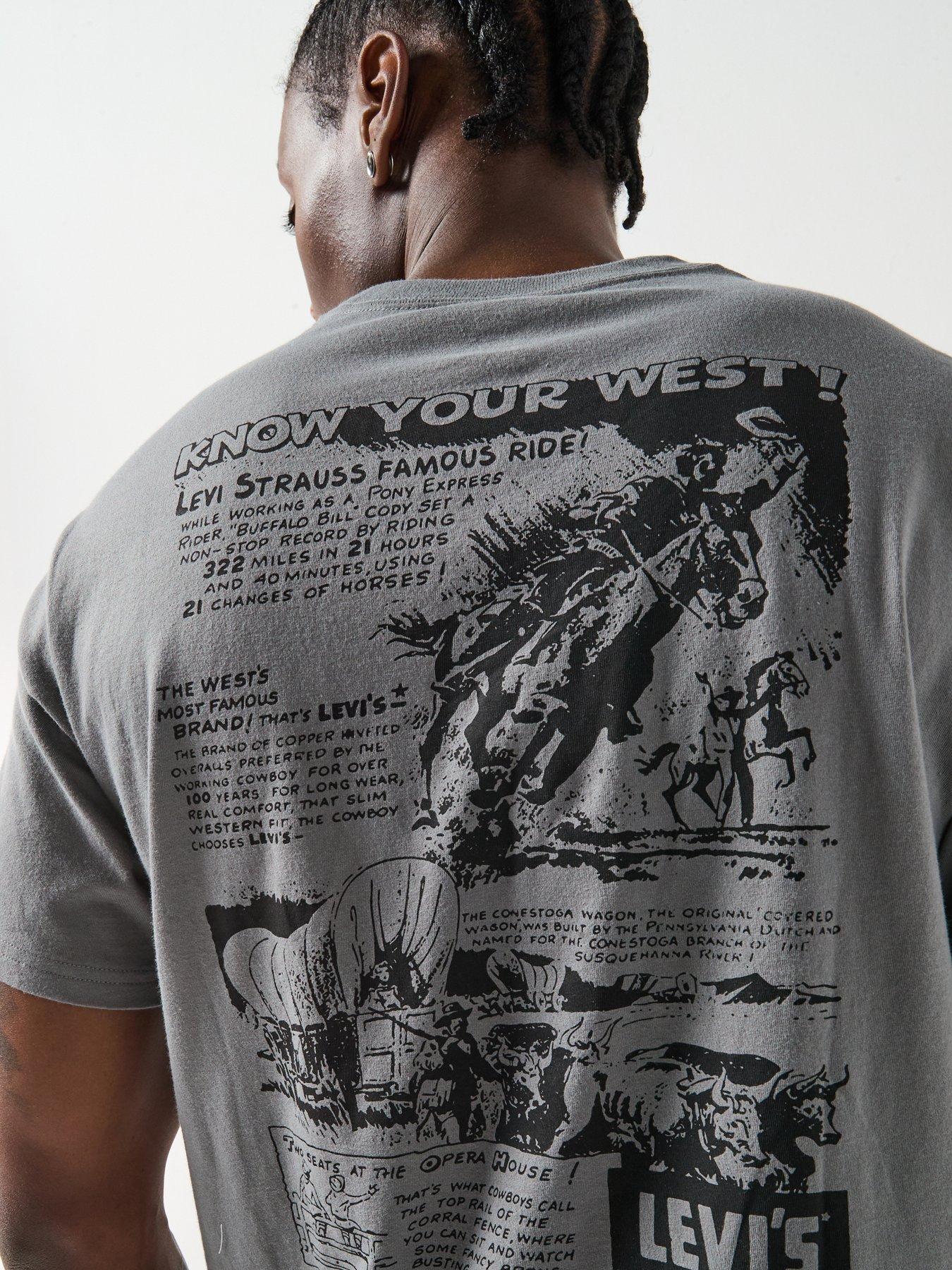levis-western-back-graphic-relaxed-fit-t-shirt-greydetail