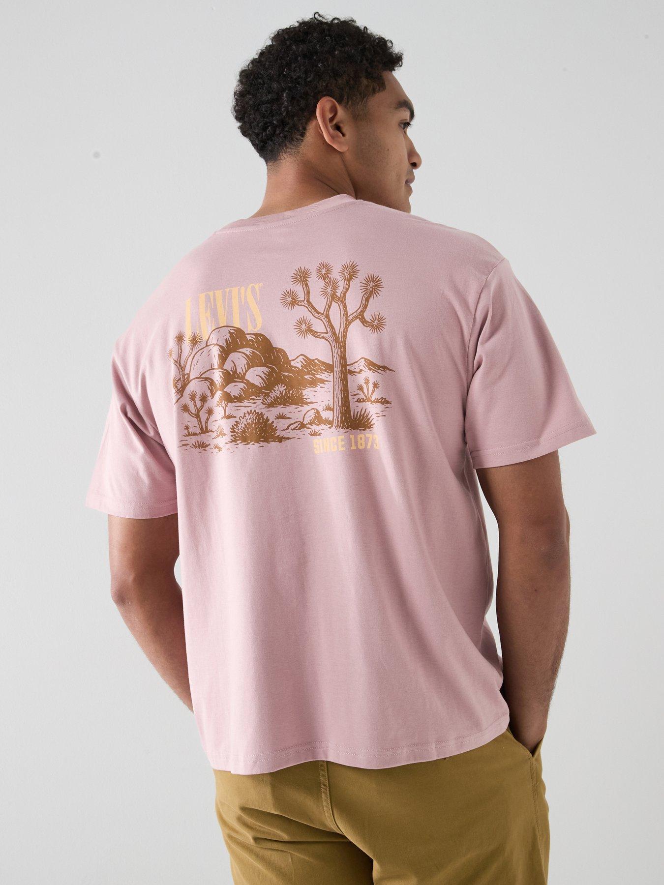 Levi's Levi's Western Cactus Back Graphic Boxy Fit T-shirt