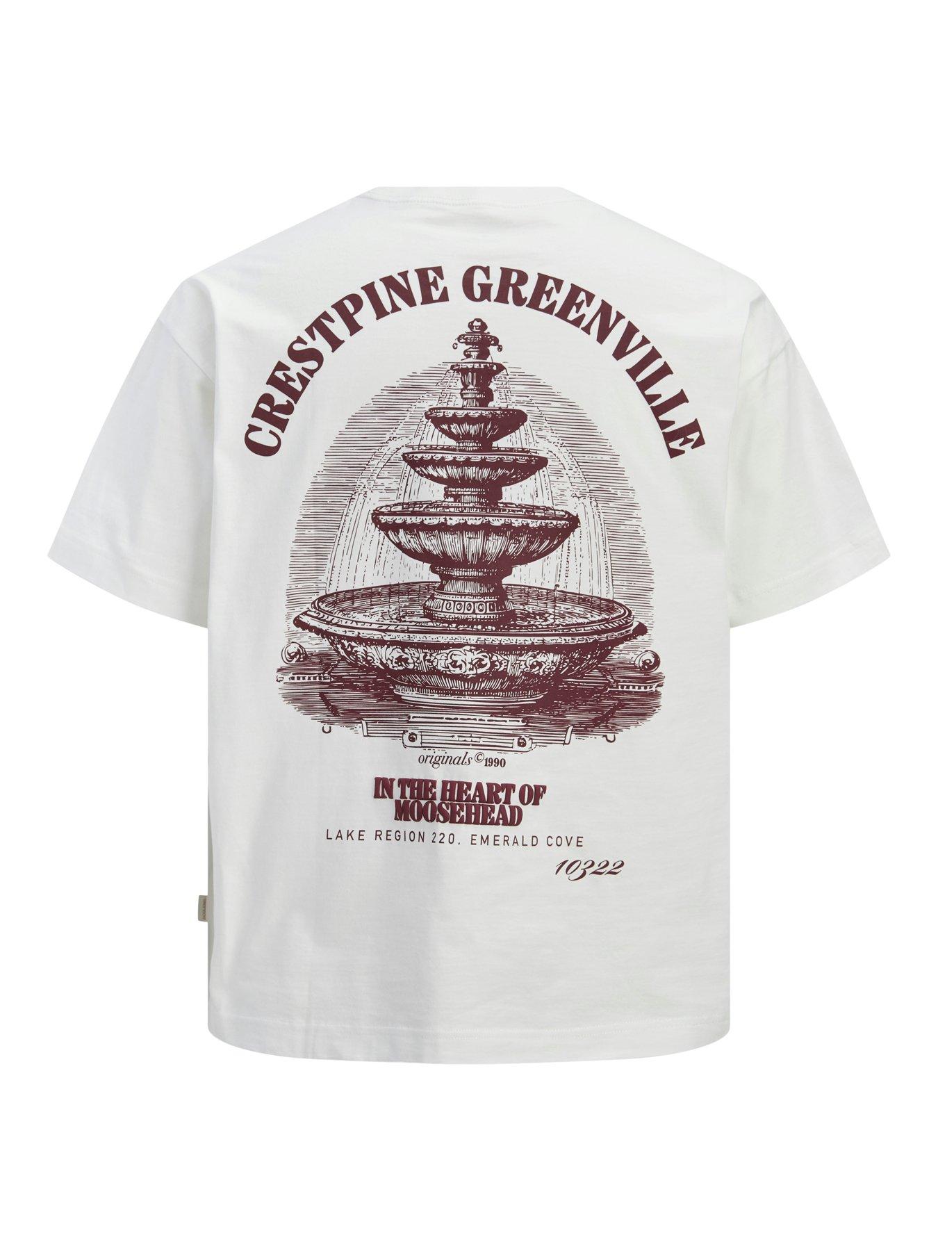Image 7 of 7 of Jack & Jones Plus Maine Back Graphic T-Shirt - White