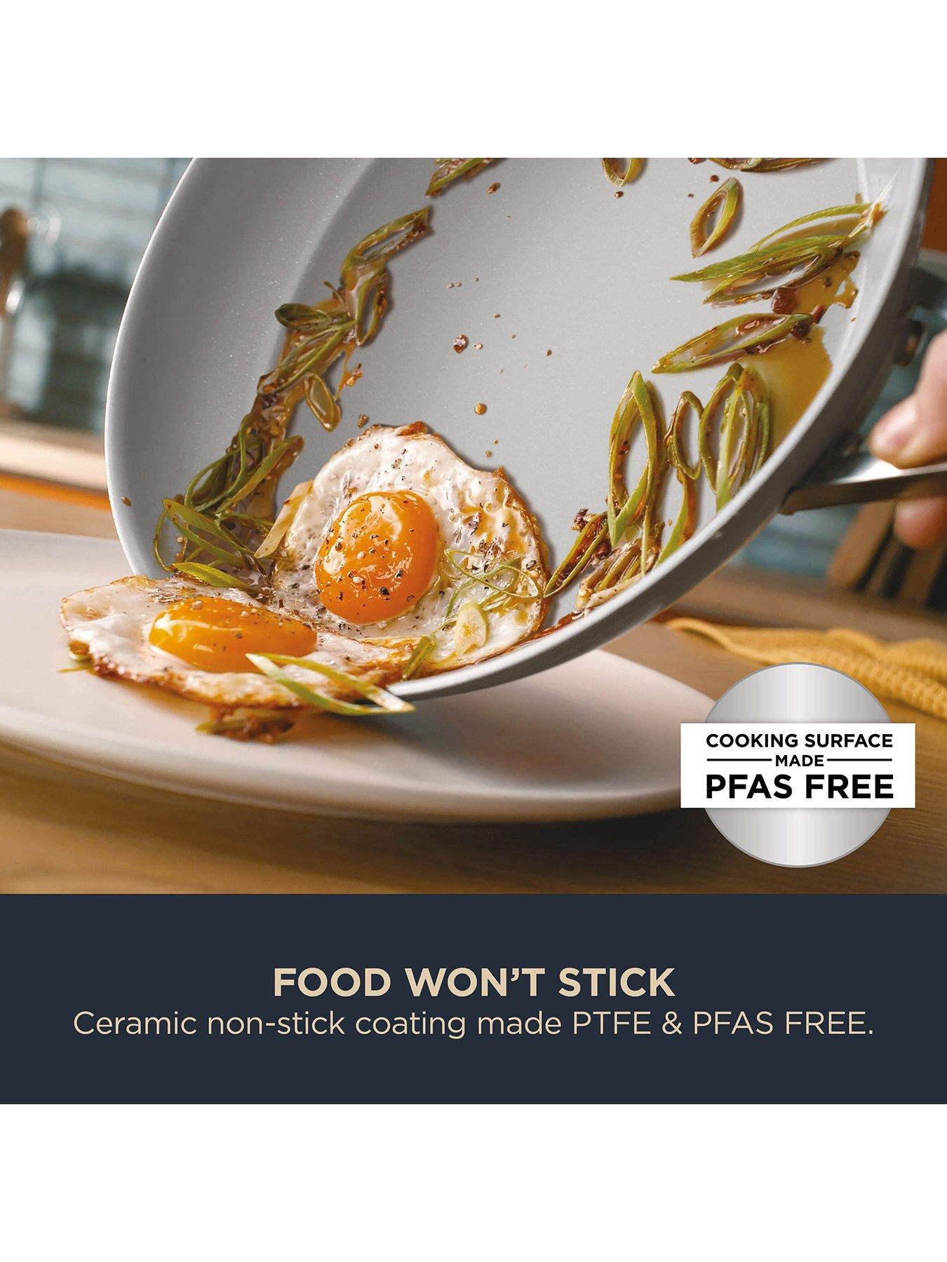 ninja-ninja-ceramic-pro-28cm-wok-stone-cw30928ukstoutfit