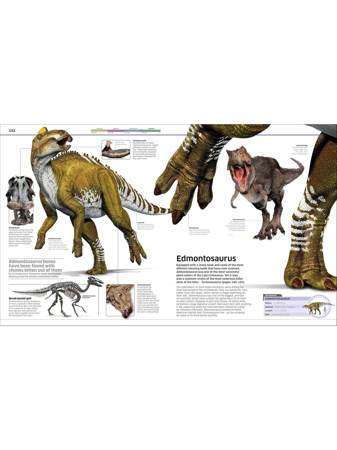 Image 5 of 7 of Knowledge Encyclopedia Dinosaur Book