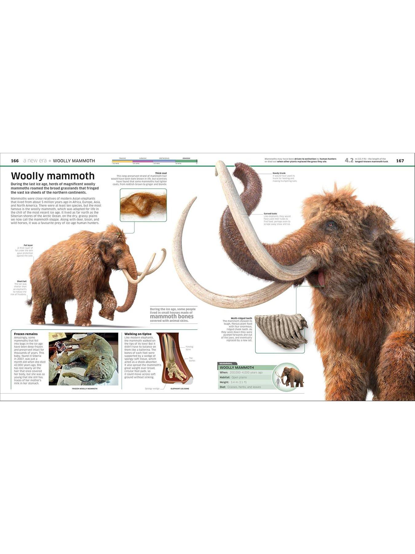 Image 7 of 7 of Knowledge Encyclopedia Dinosaur Book