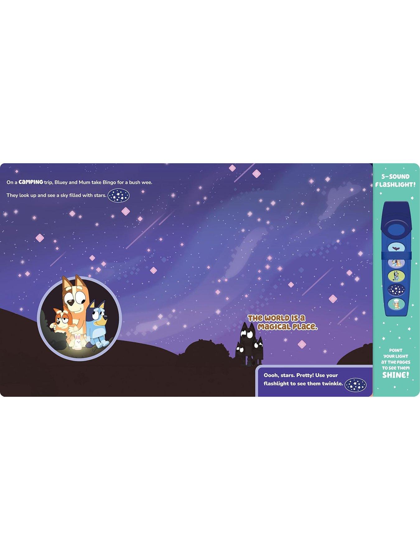 Image 3 of 6 of Bluey Ooh Shiny:&nbsp;Flashlight Book