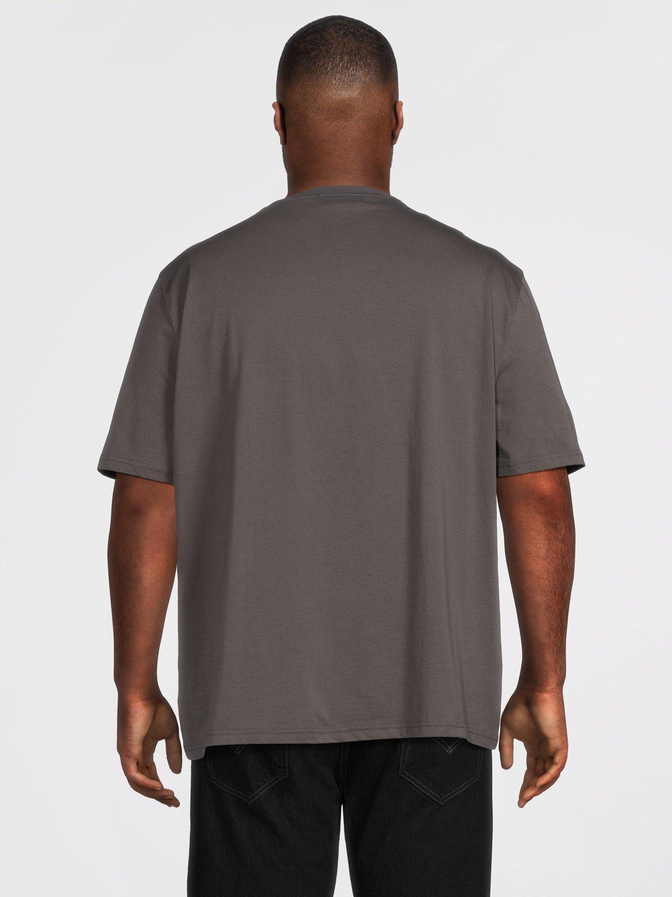 lyle-scott-big-tall-plain-t-shirt-greystillFront