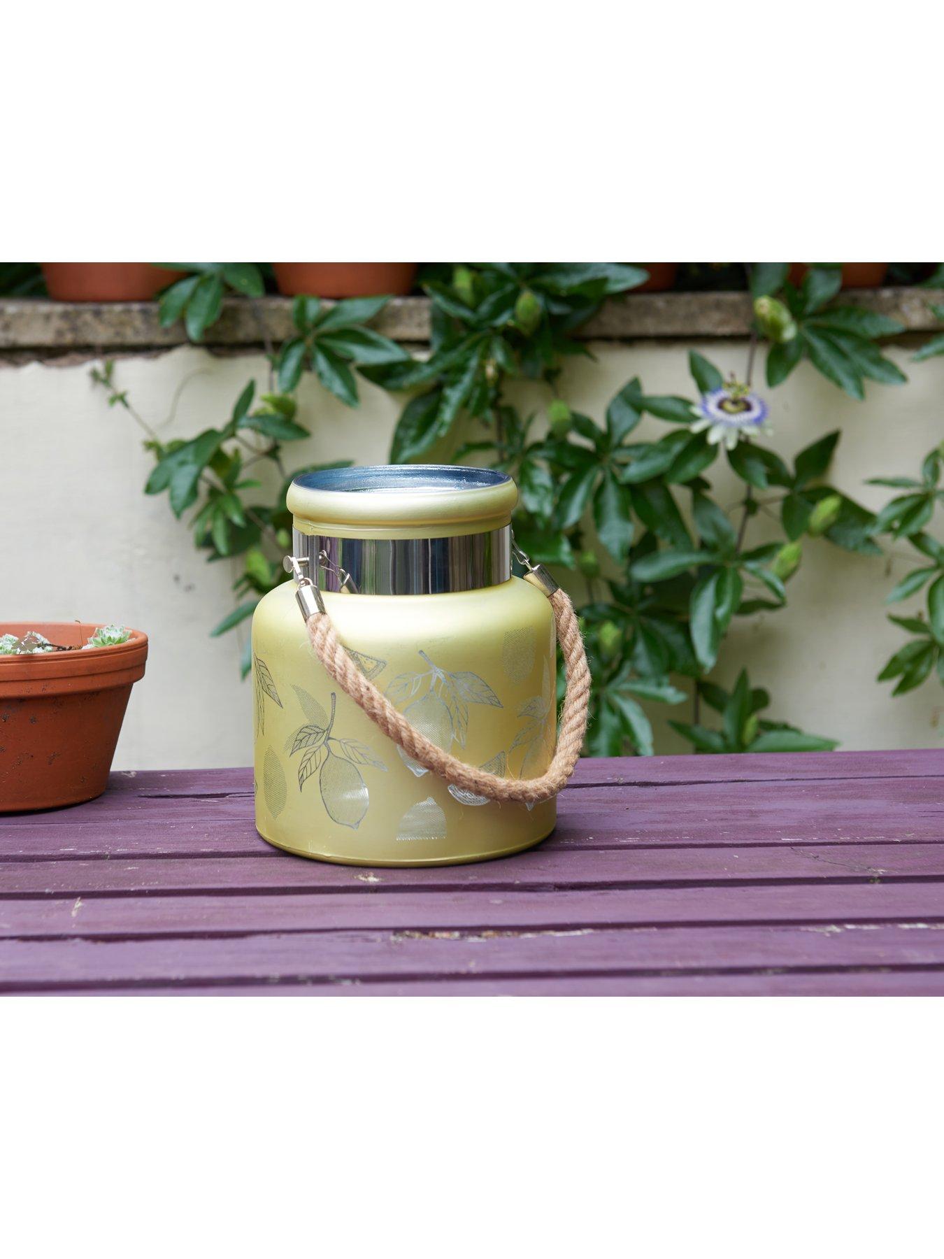 smart-garden-lemon-lanternback
